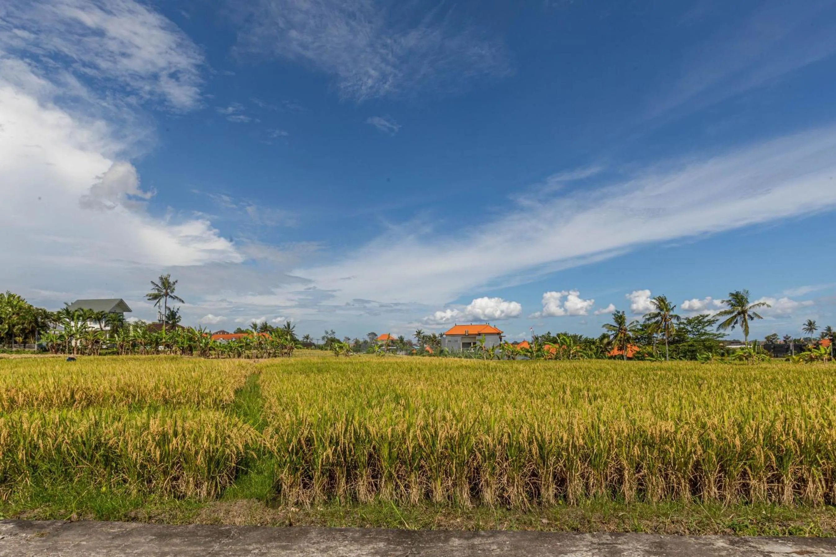 View (from property/room) in D'jineng Rice Terrace Canggu