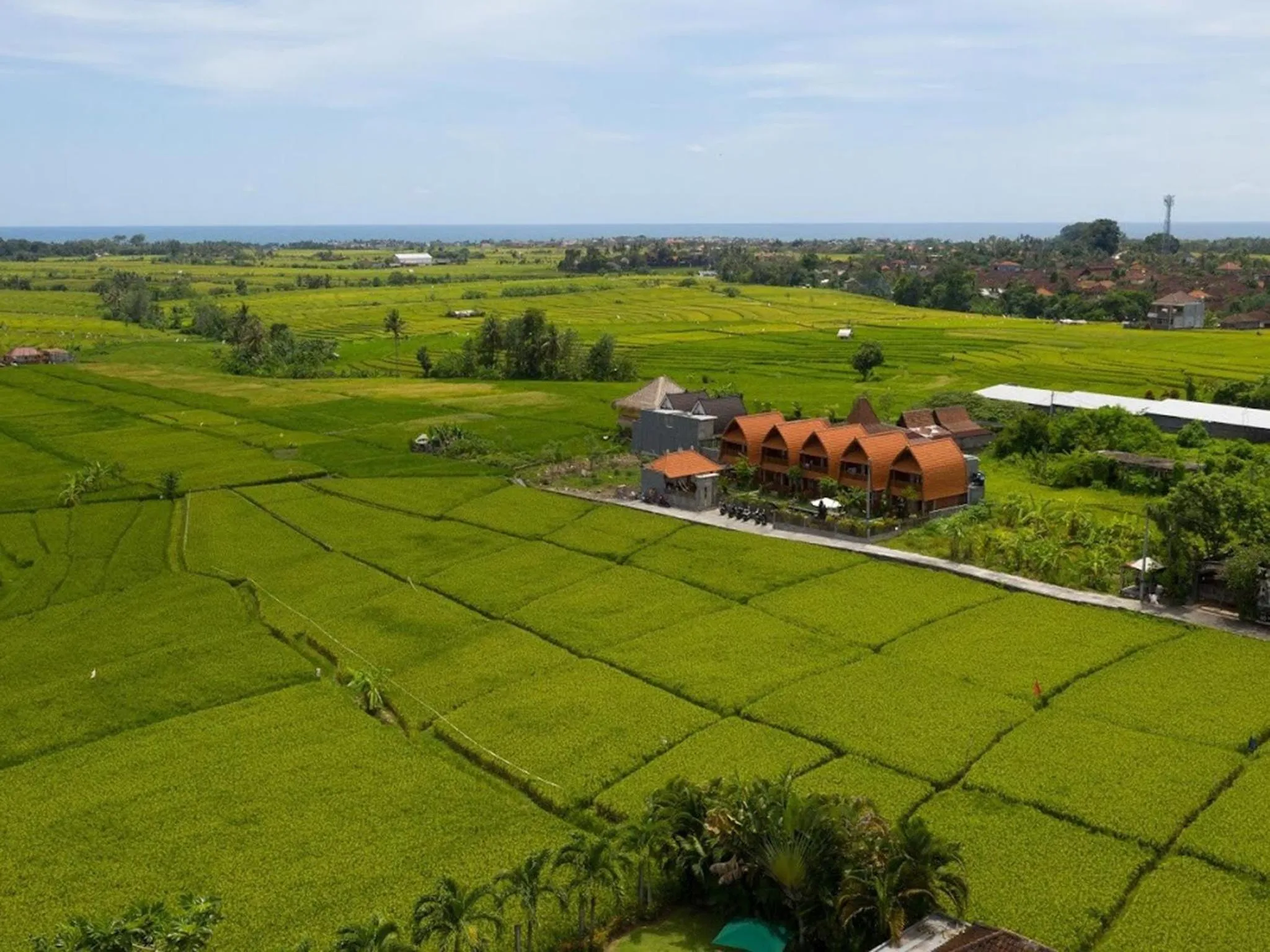 Bird's eye view in D'jineng Rice Terrace Canggu