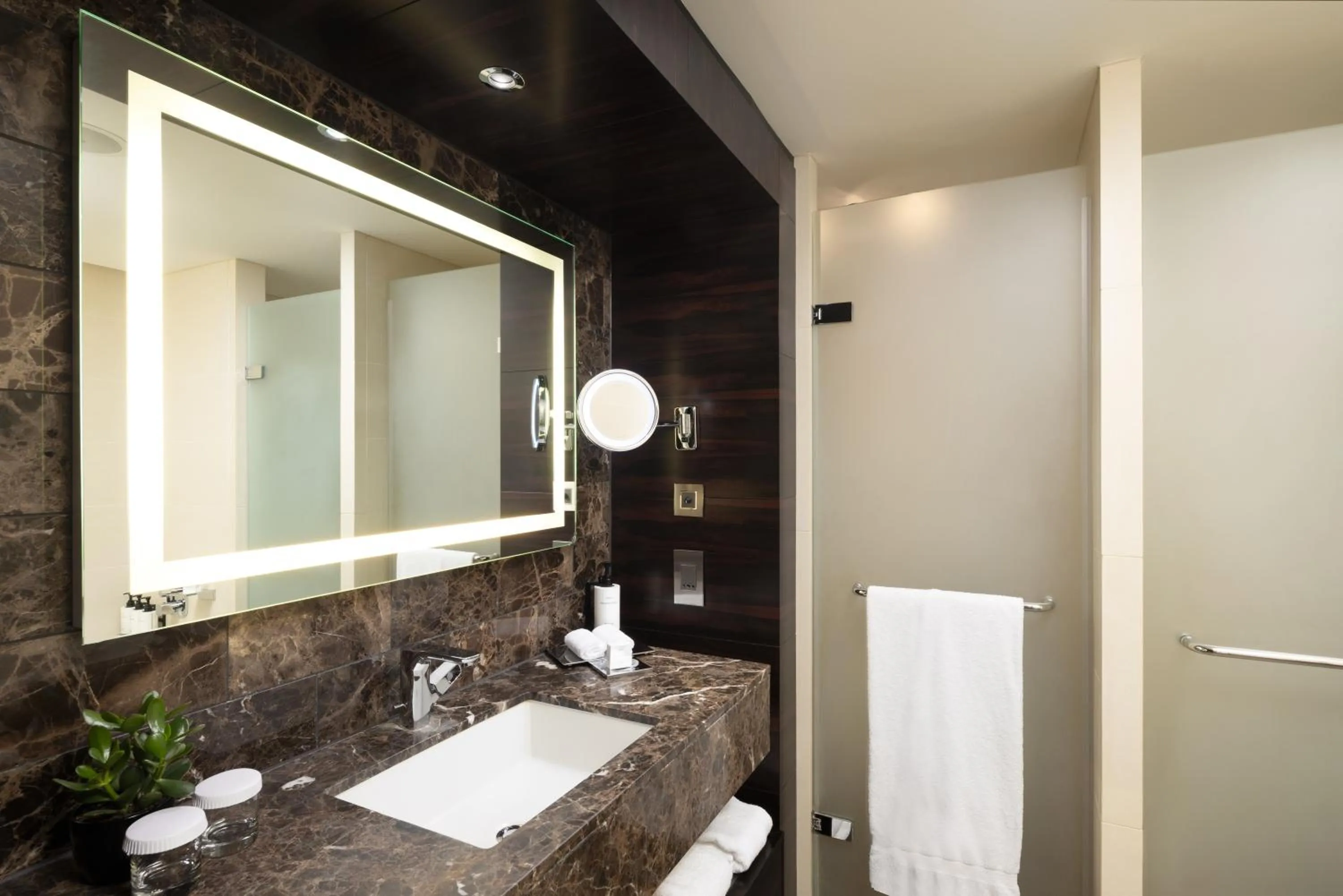 Shower in Conrad London St James