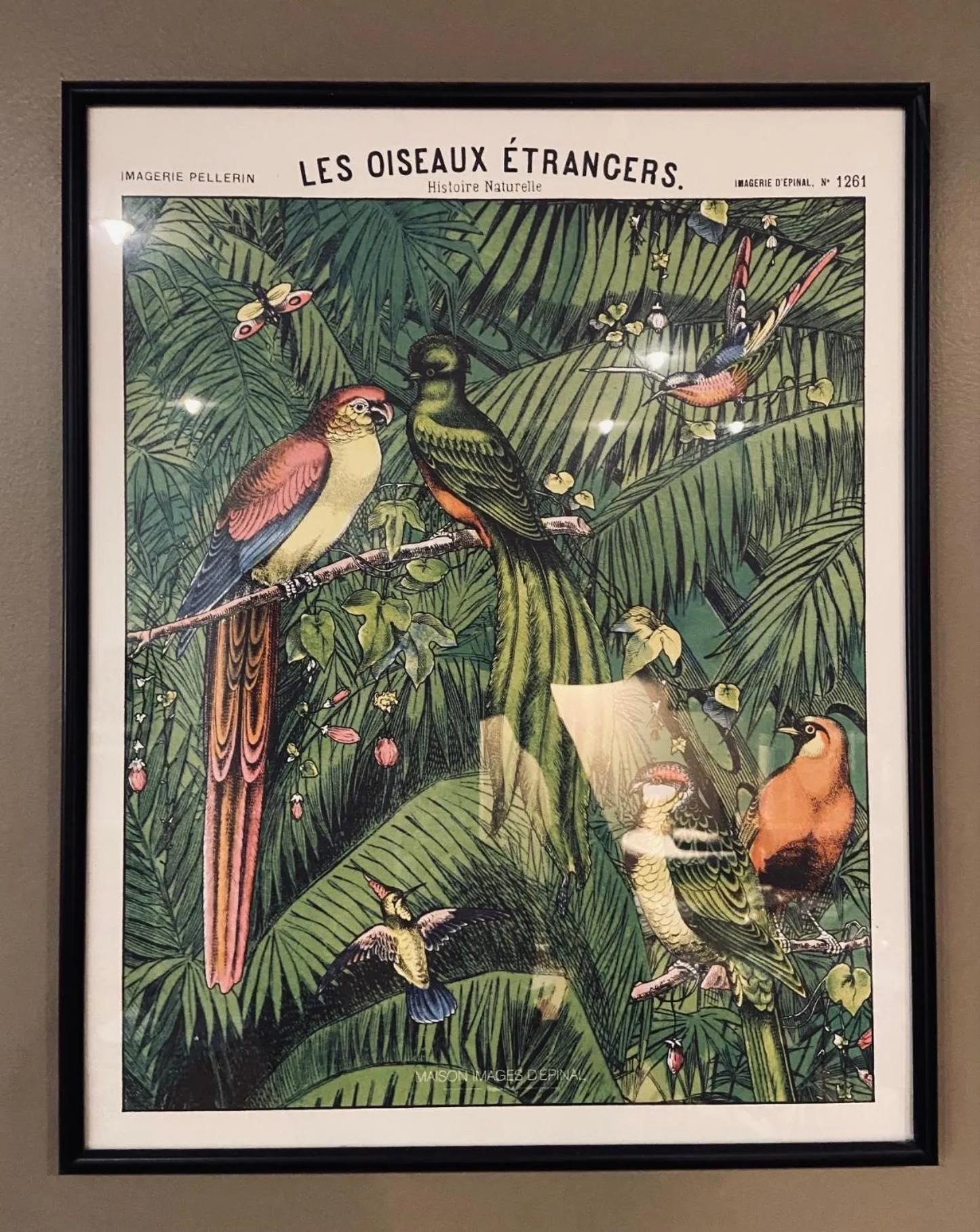 Decorative detail in Cesar Hotel