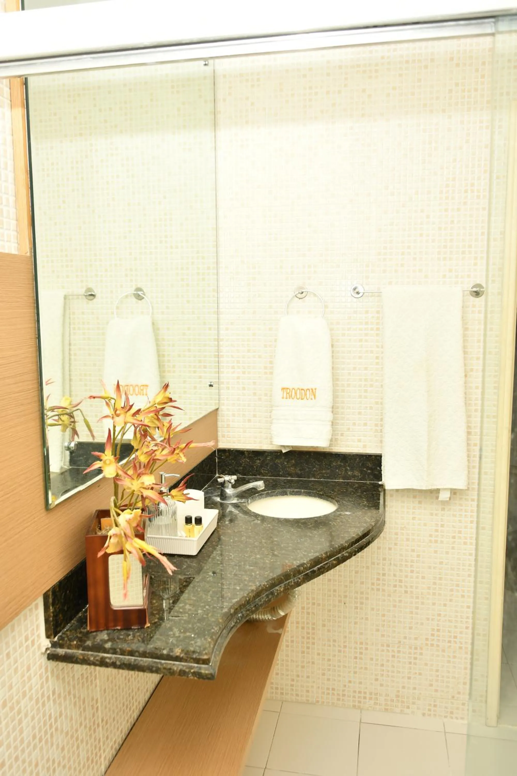 Bathroom in Troodon Park Hotel