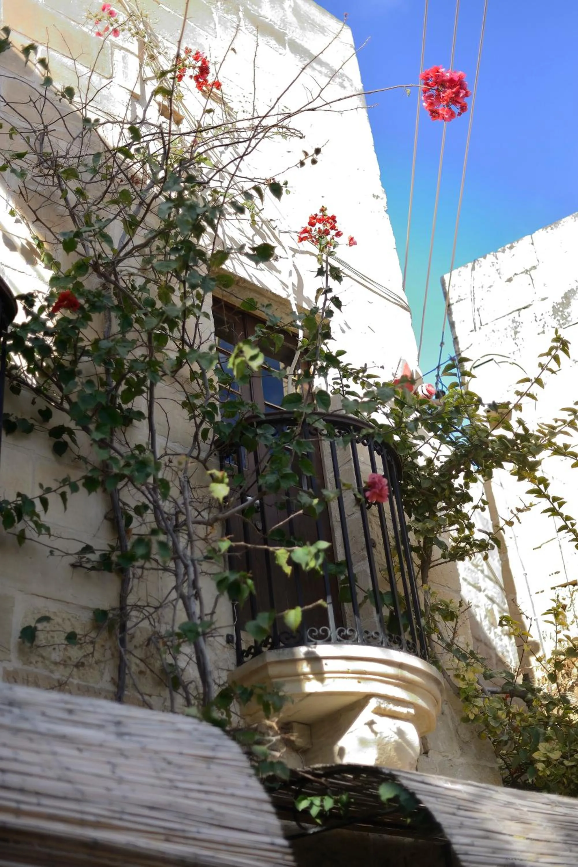 Facade/entrance in The Burrow Guest House