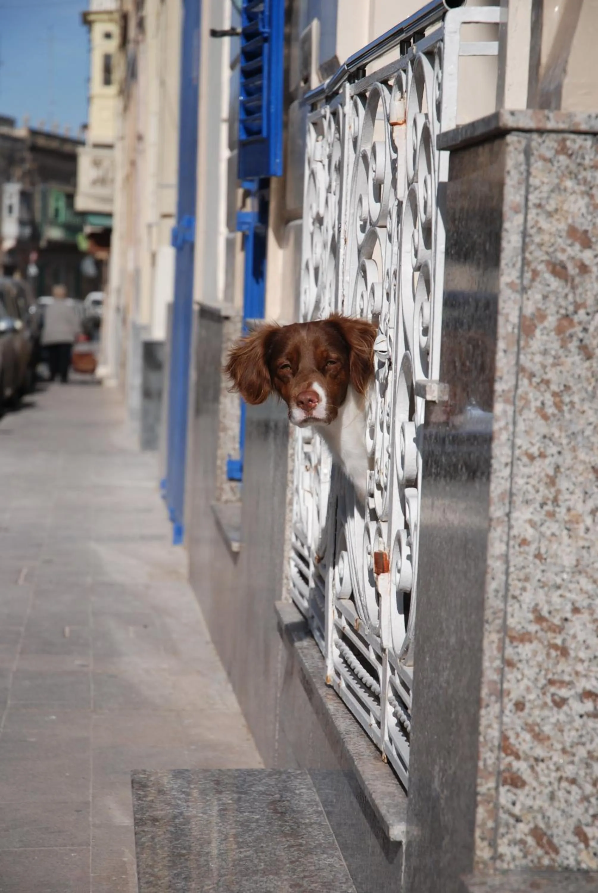 Day in The Burrow Guest House