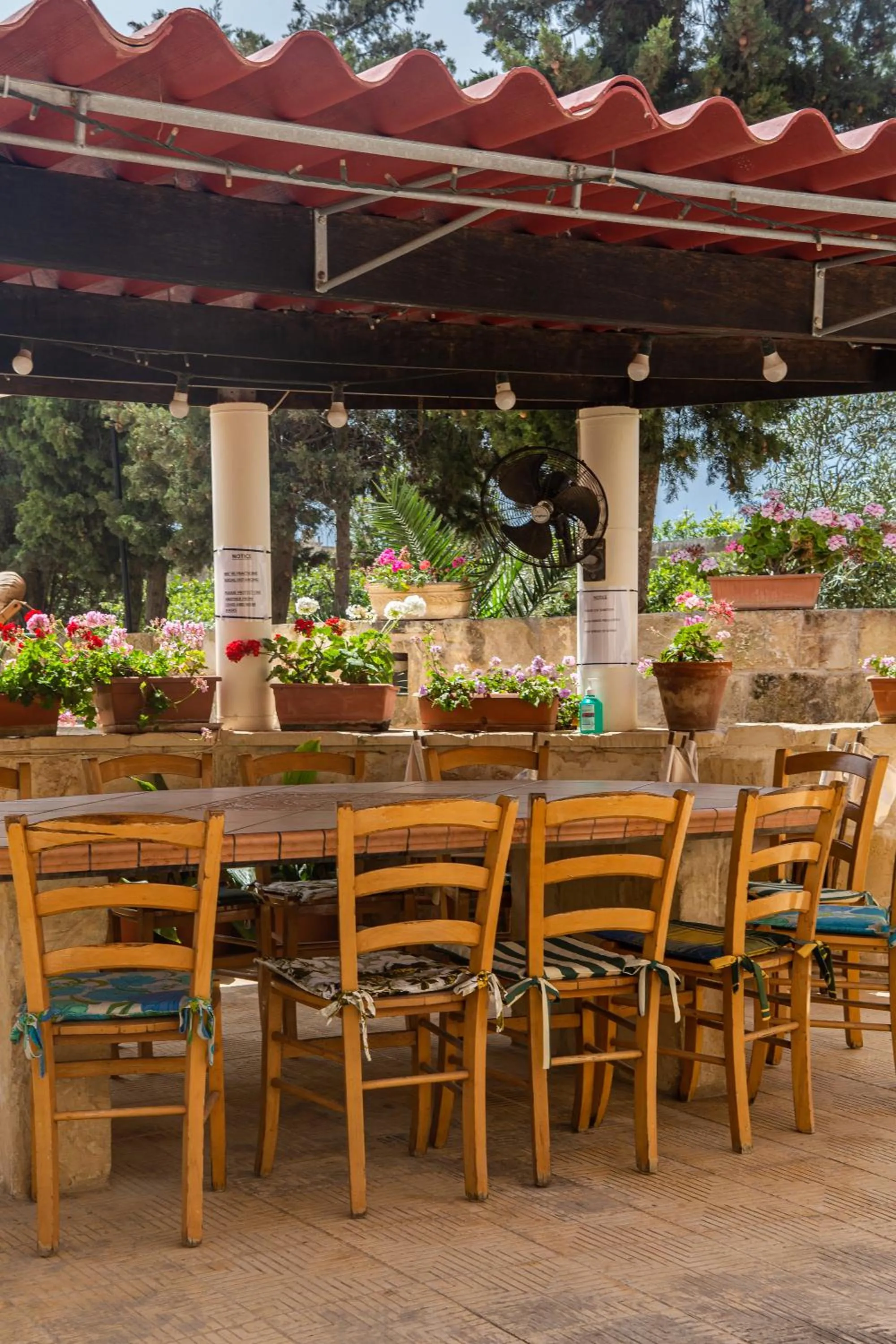 Garden in Ta' Bertu Host Family Bed & Breakfast