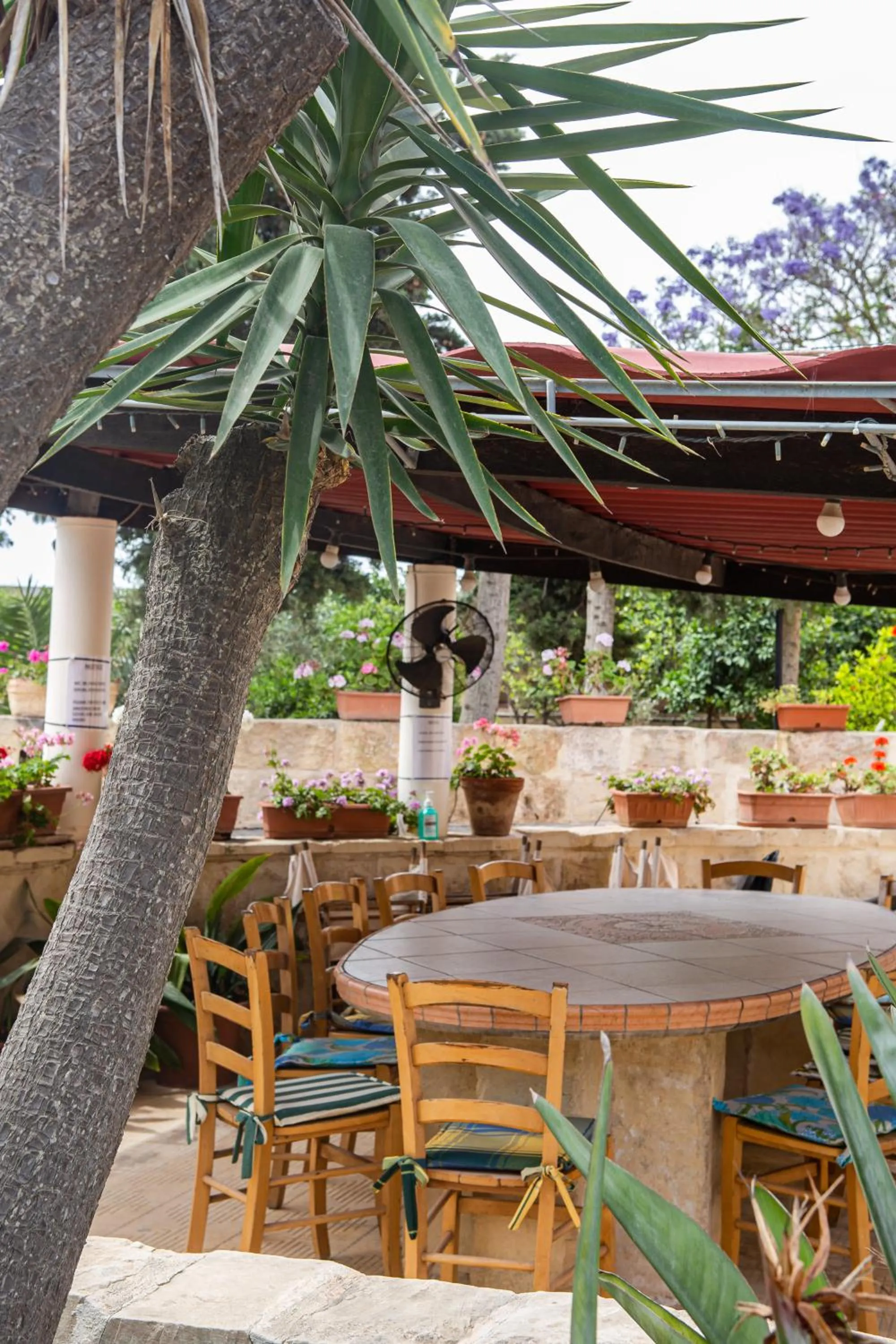 Garden in Ta' Bertu Host Family Bed & Breakfast