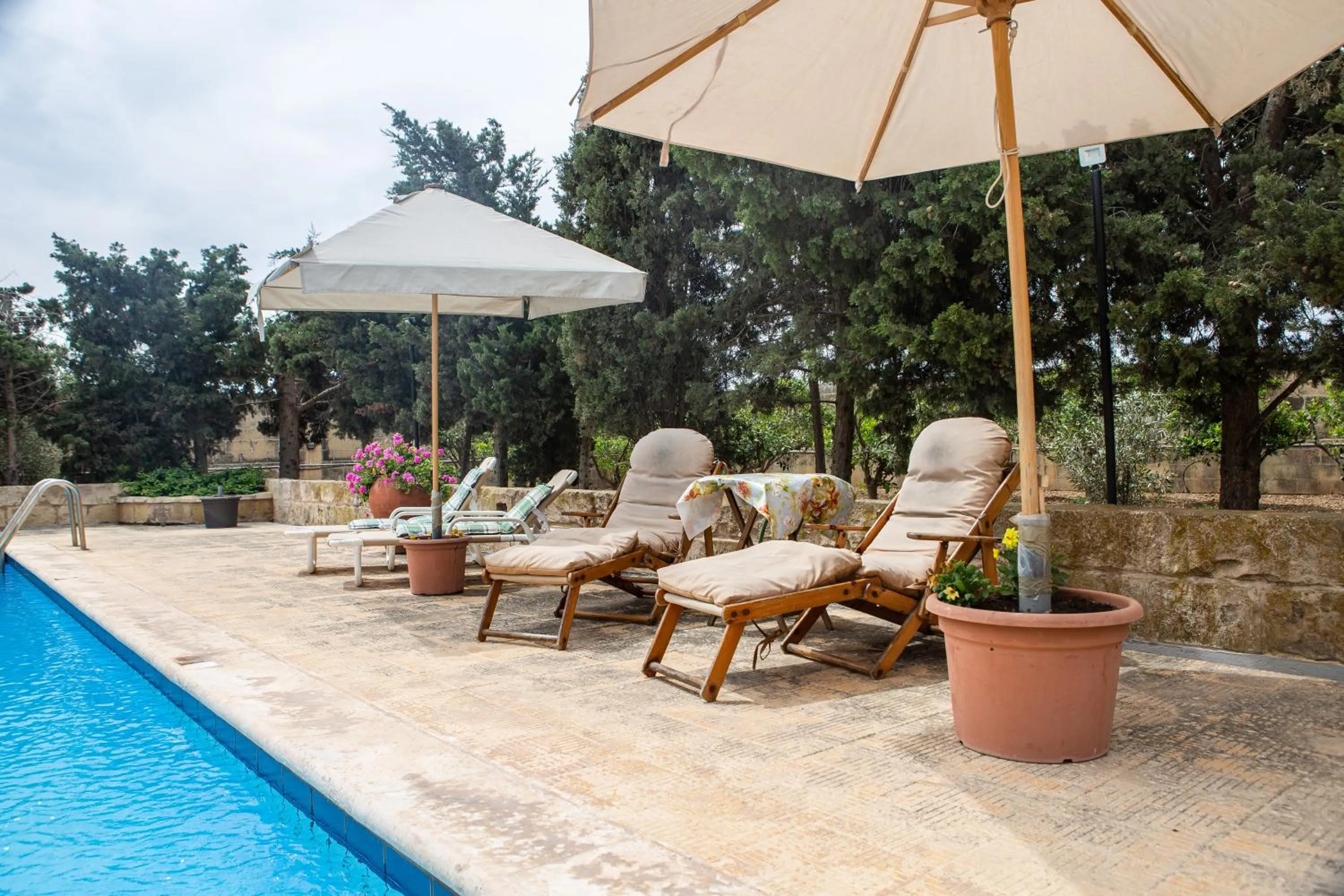 Swimming pool in Ta' Bertu Host Family Bed & Breakfast