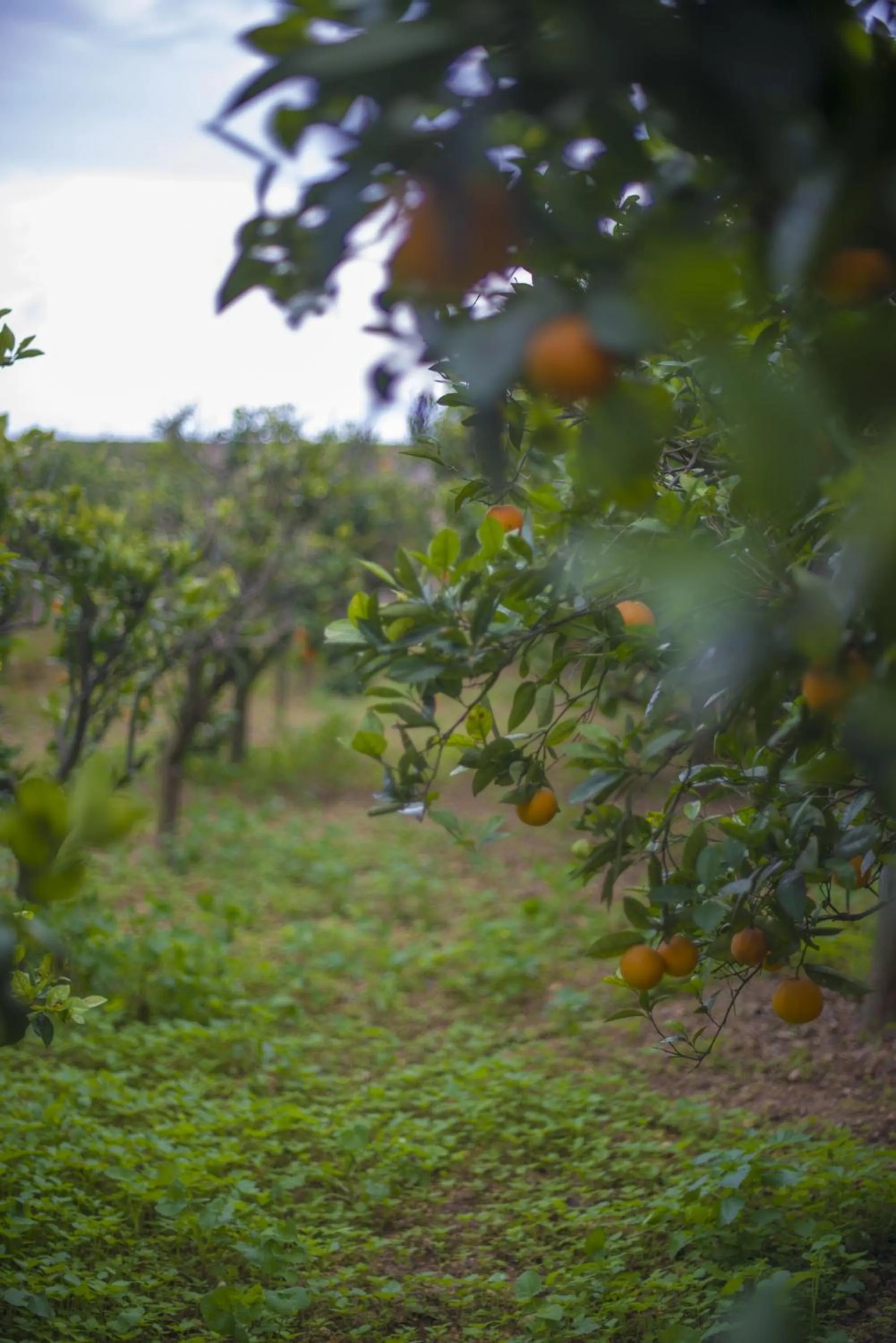 Other in Ta' Bertu Host Family Bed & Breakfast