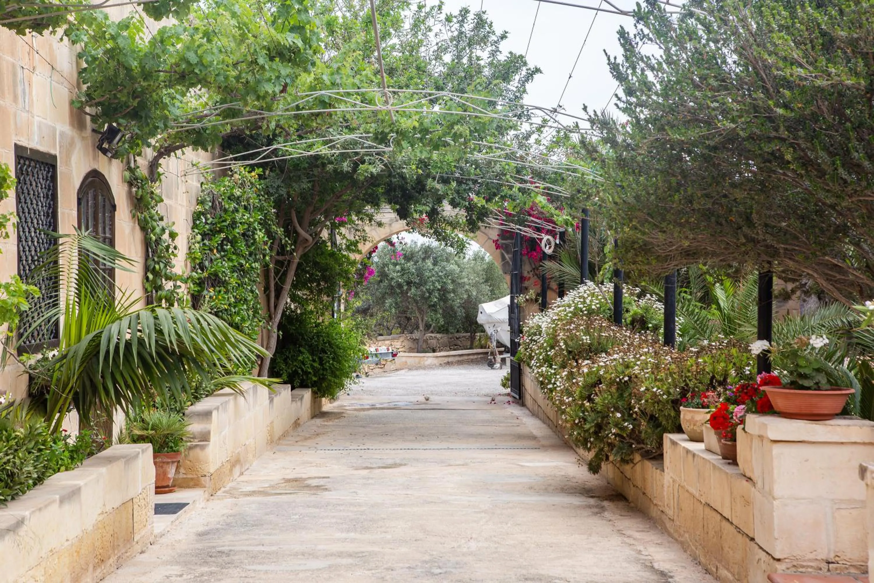 Garden in Ta' Bertu Host Family Bed & Breakfast