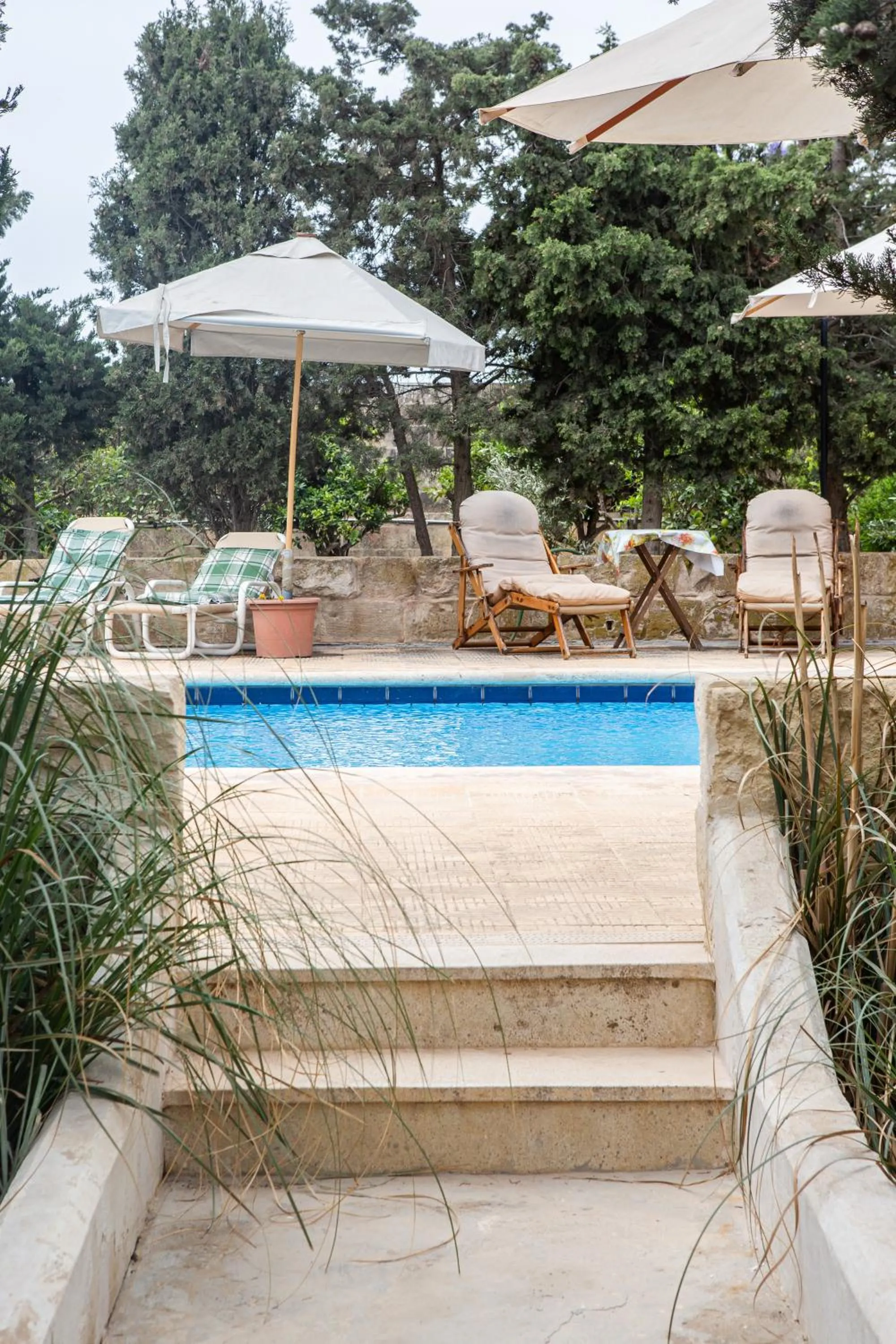 Swimming pool in Ta' Bertu Host Family Bed & Breakfast