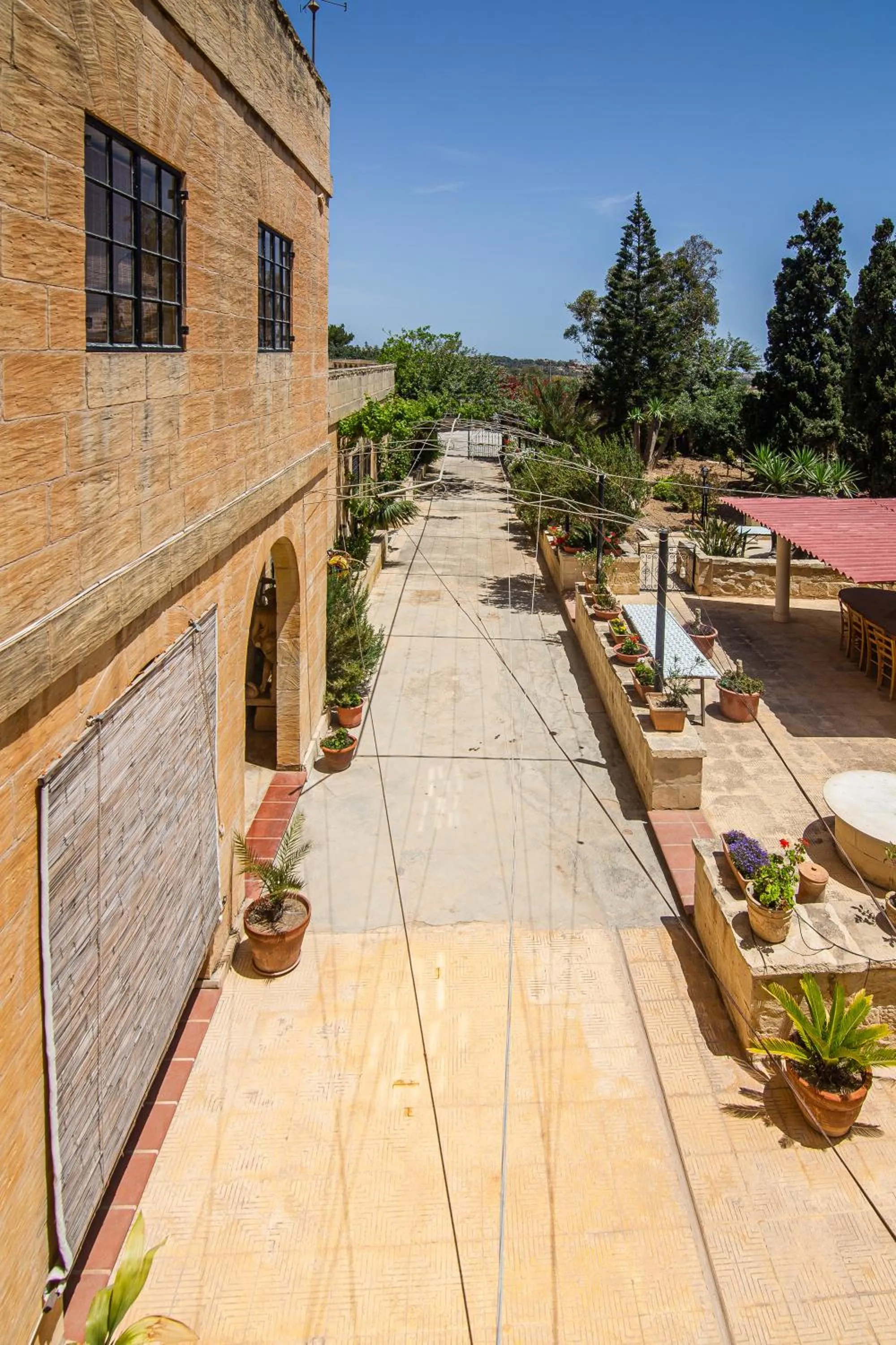 Garden in Ta' Bertu Host Family Bed & Breakfast