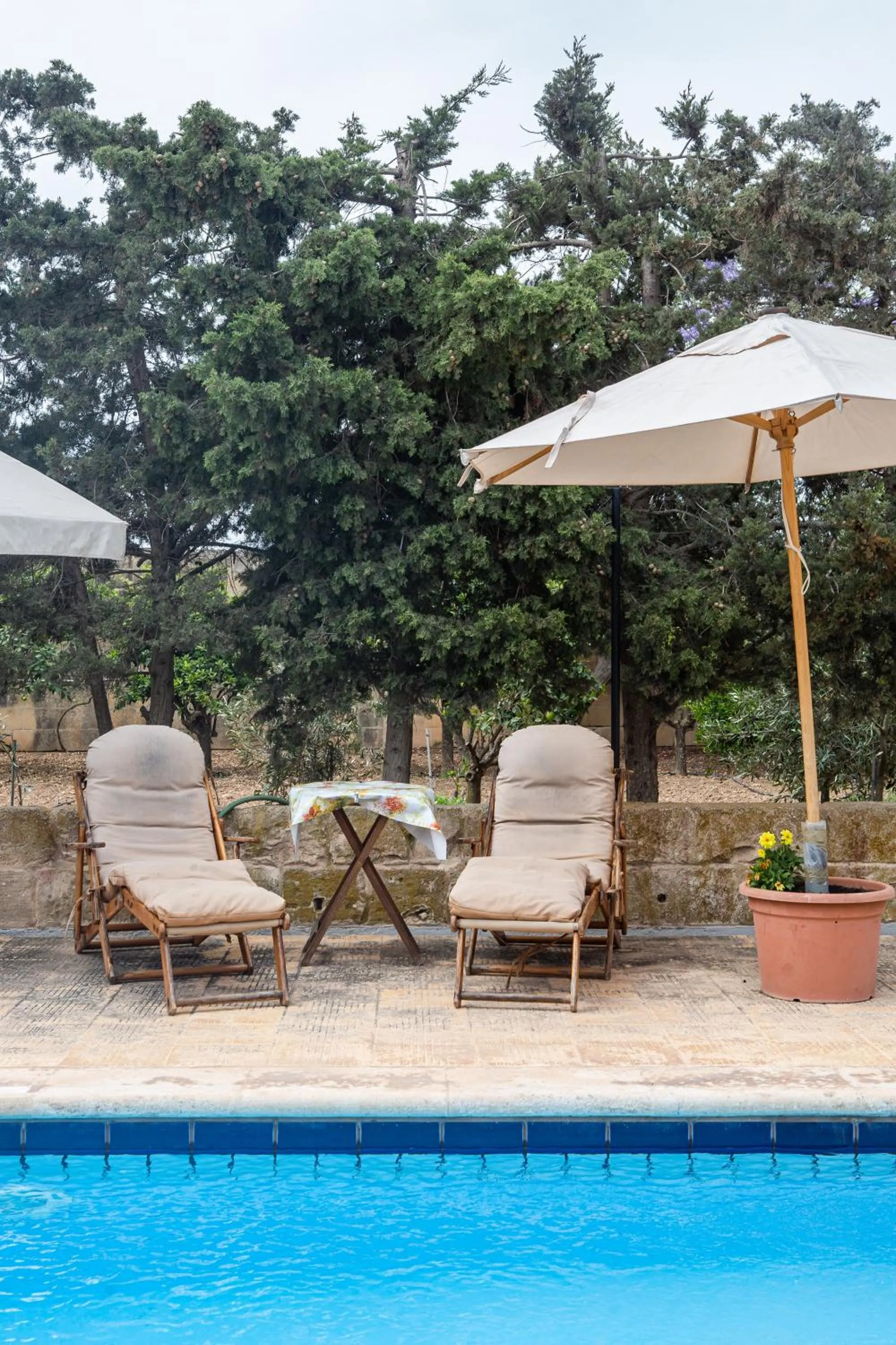 Swimming pool in Ta' Bertu Host Family Bed & Breakfast