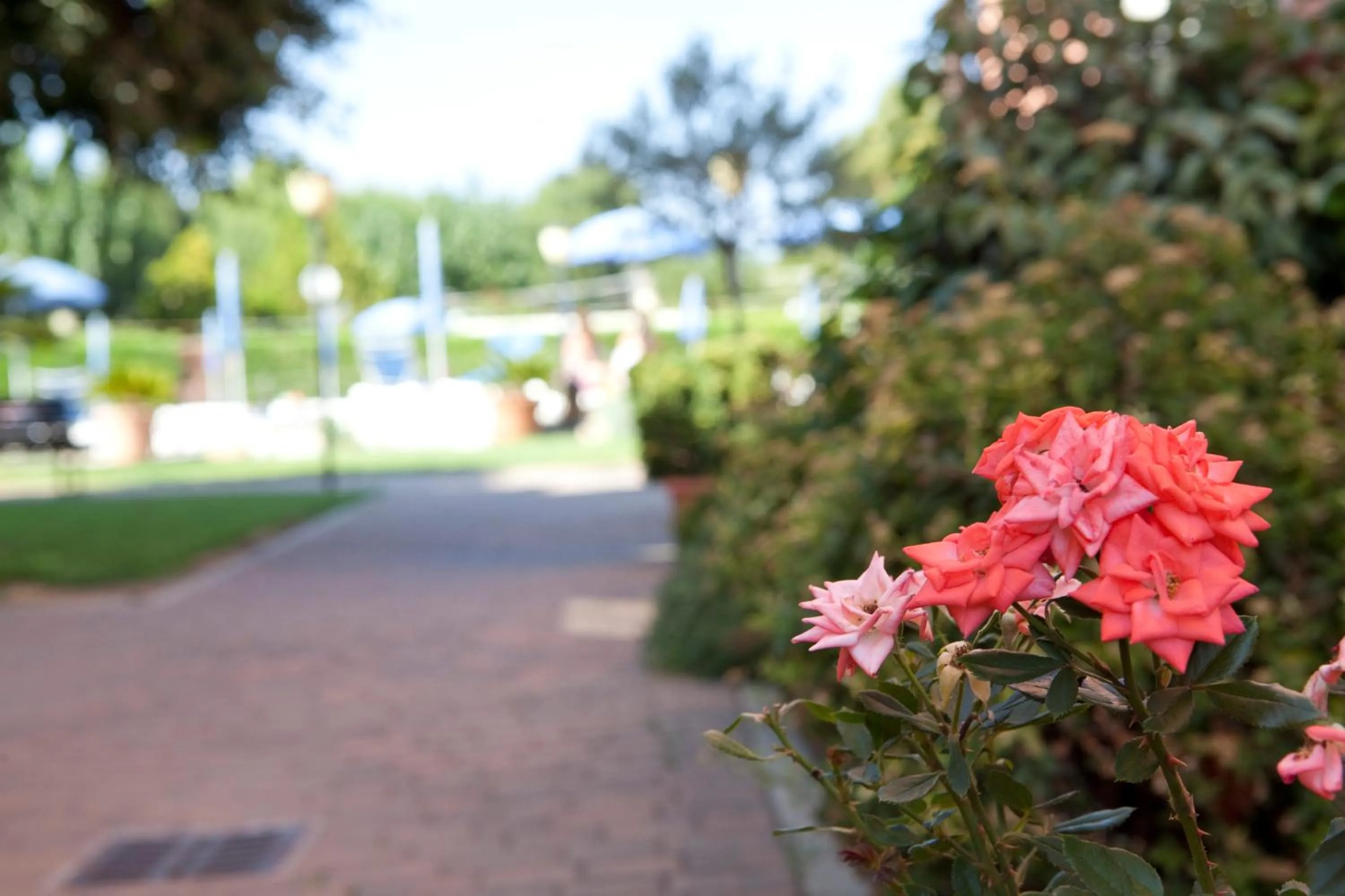 Day in Residence Borgomare