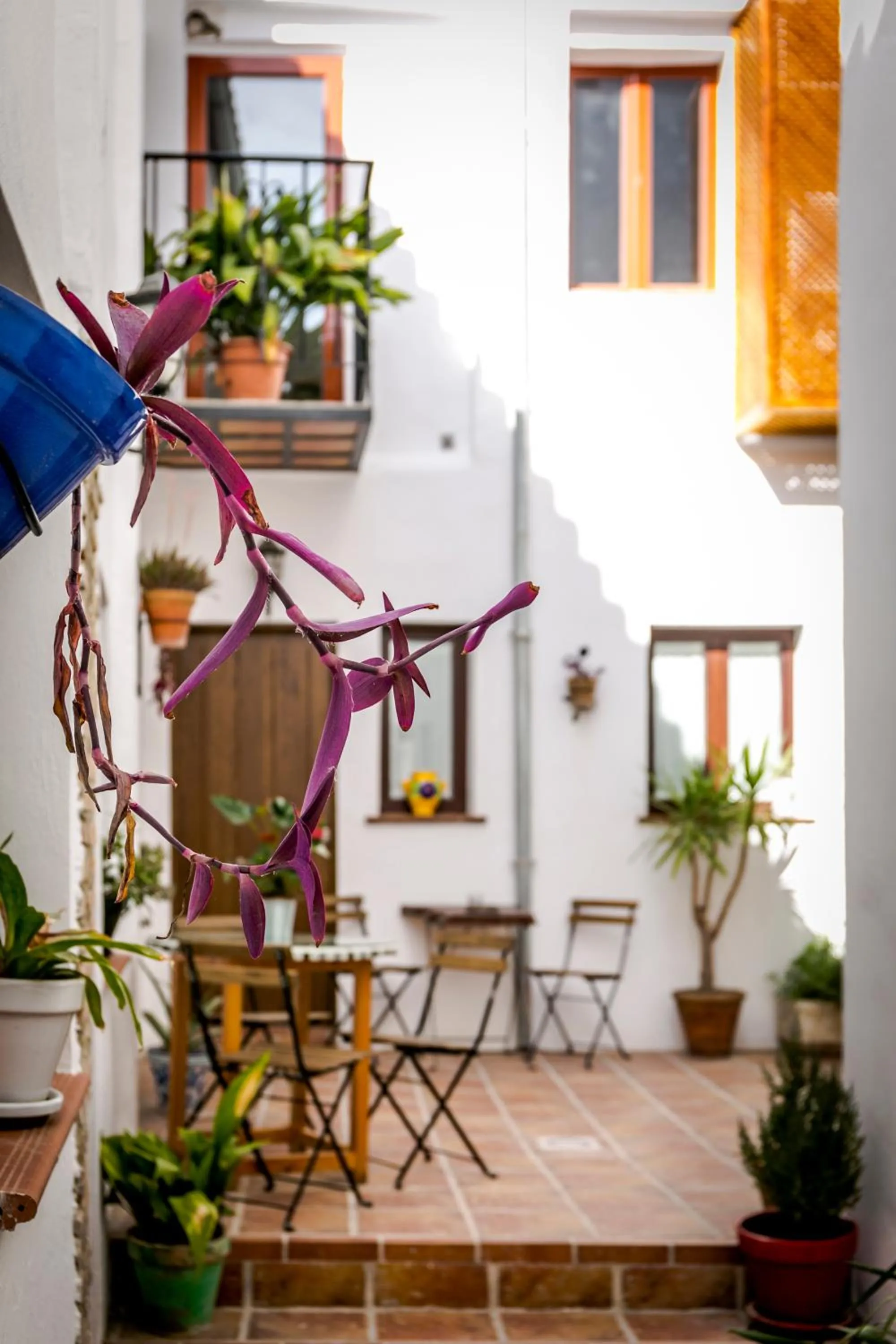 Patio in Casa Po