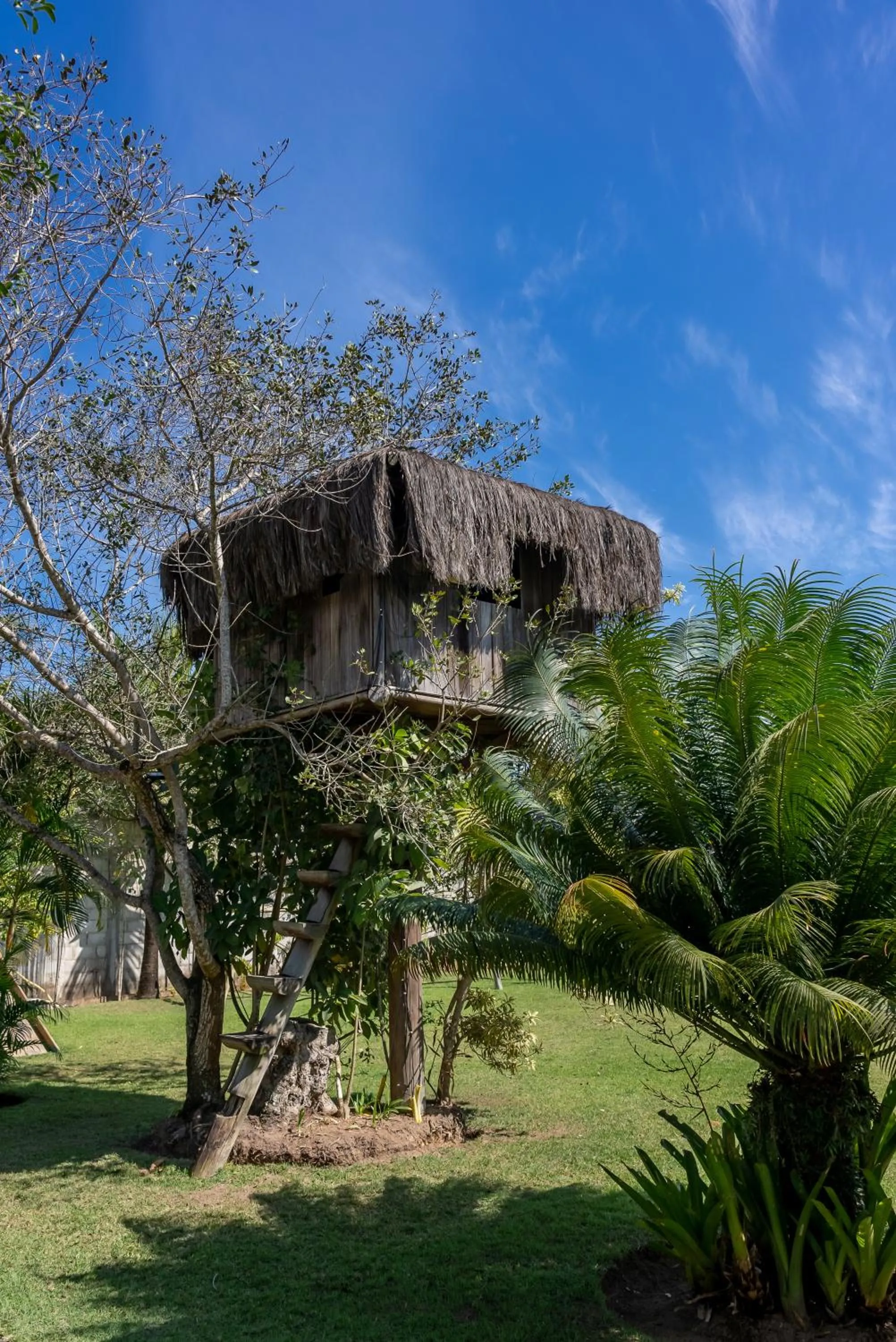 Garden in Pousada Recanto Trancoso