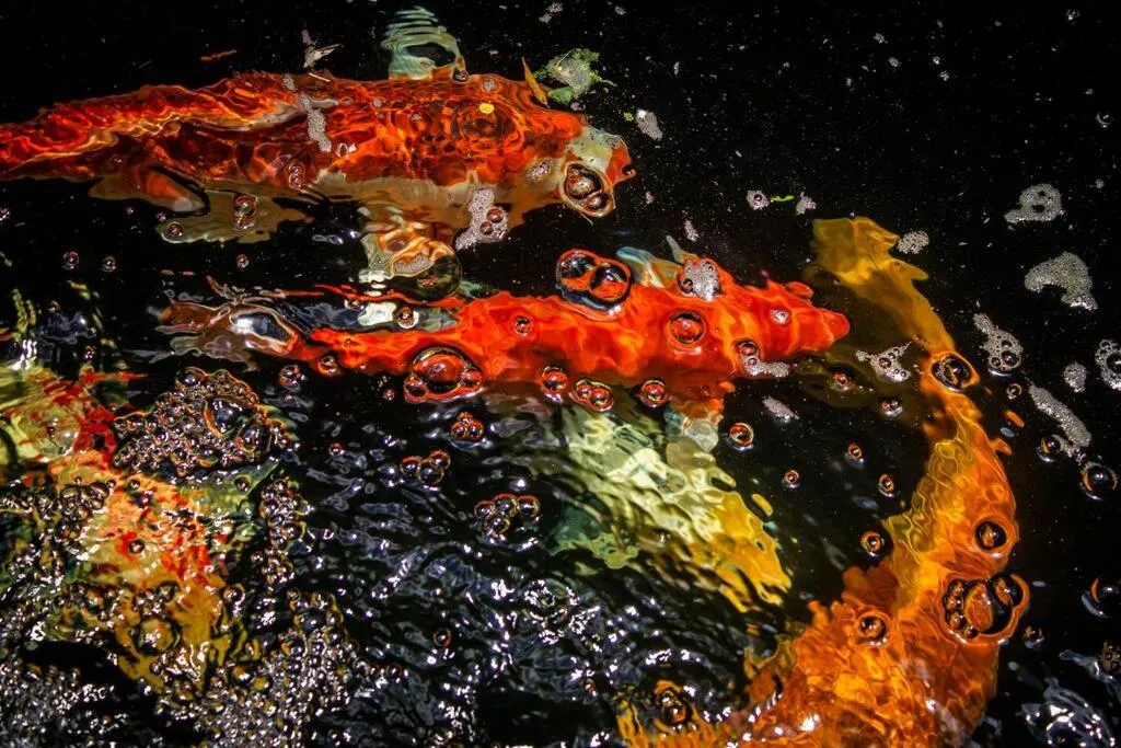 Property building in Aqua Terra Boutique Guesthouse - Simon's Town, Cape Town