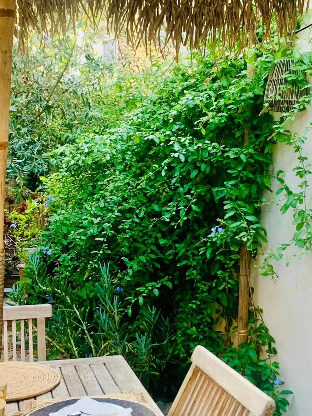 La Maison narbonnaise