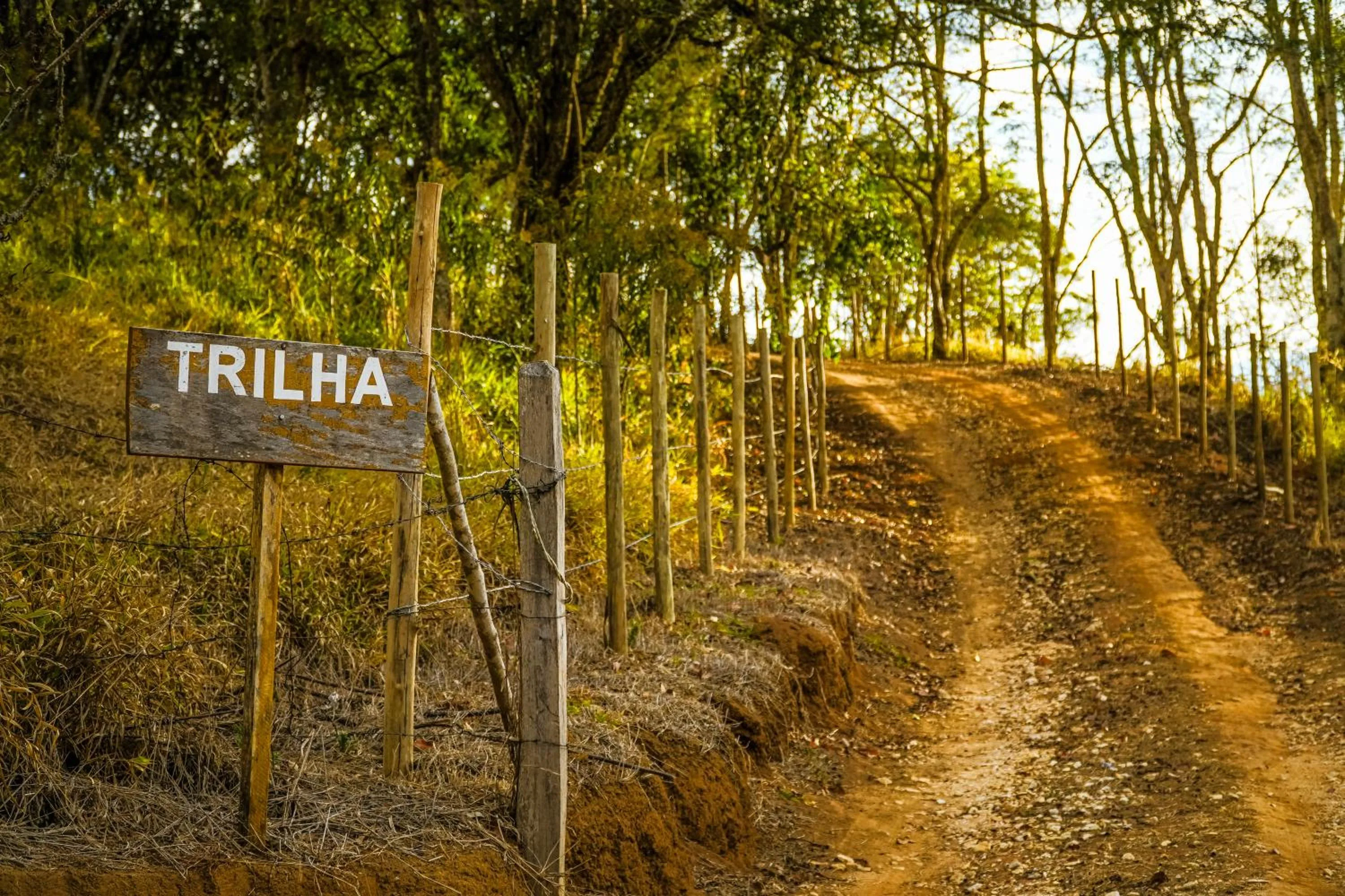 Natural landscape in VELINN Hotel Fazenda Fonte das Hortênsias