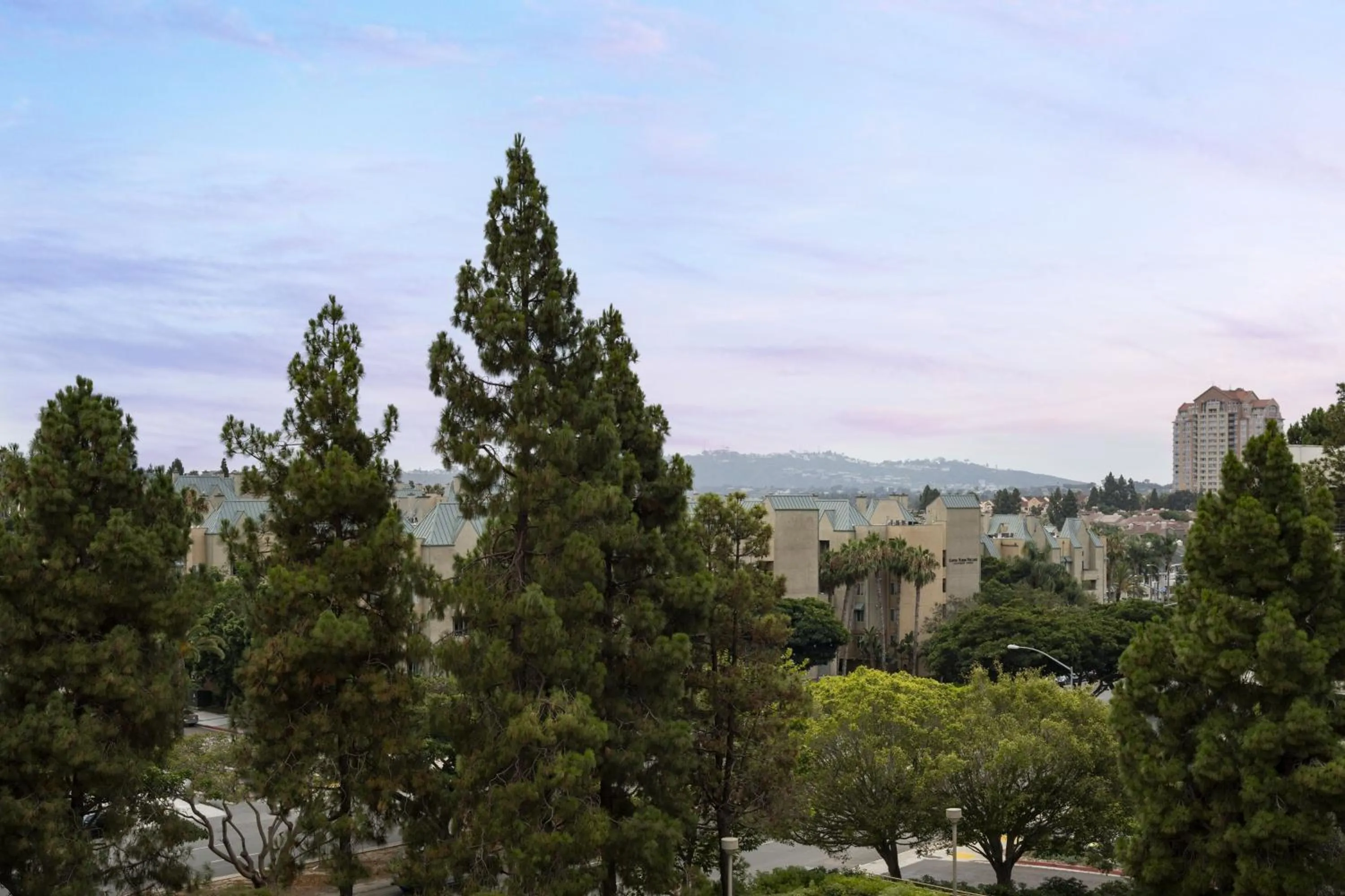 View (from property/room) in San Diego Marriott La Jolla