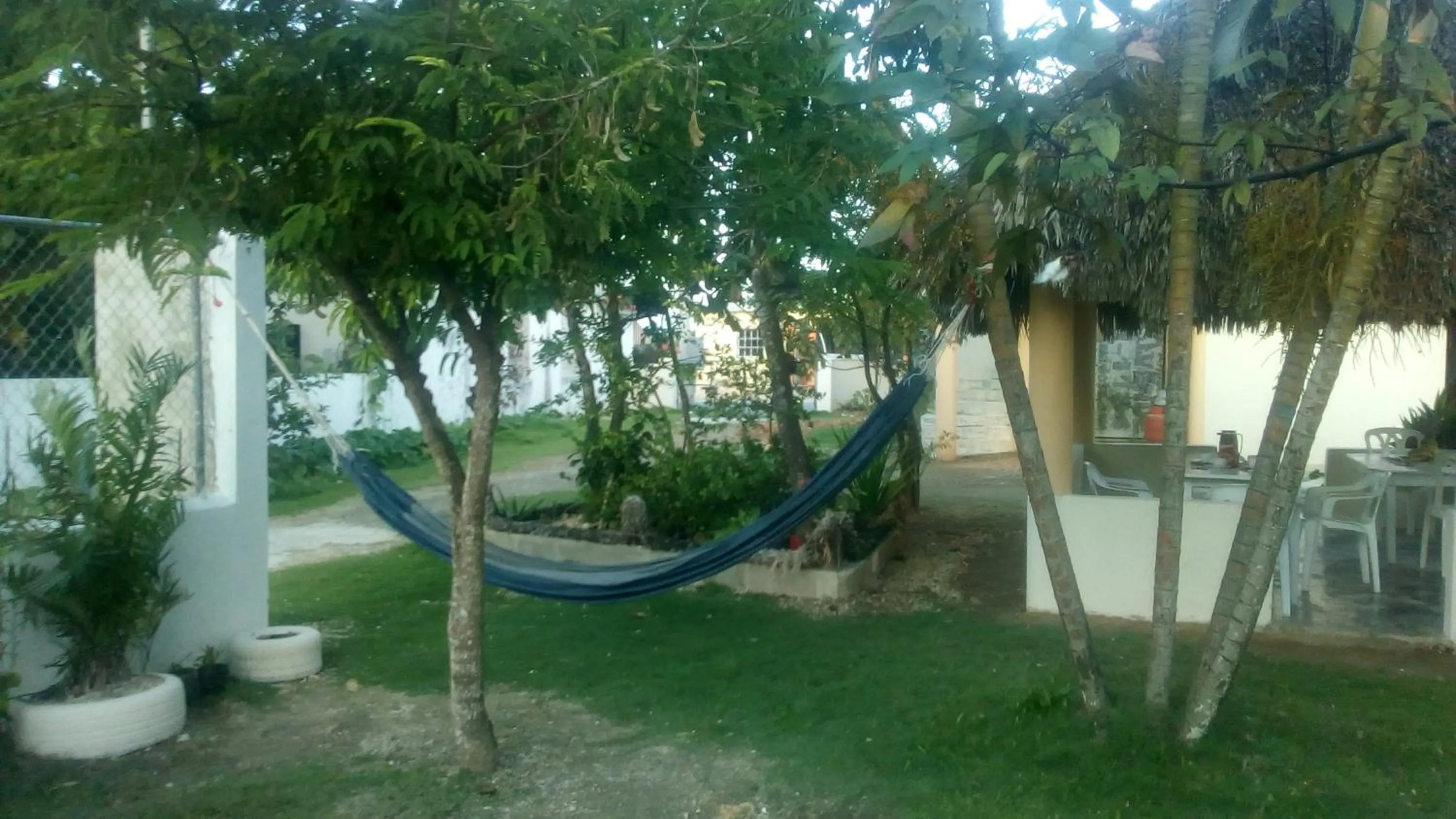 El Conde de Villa Rosa