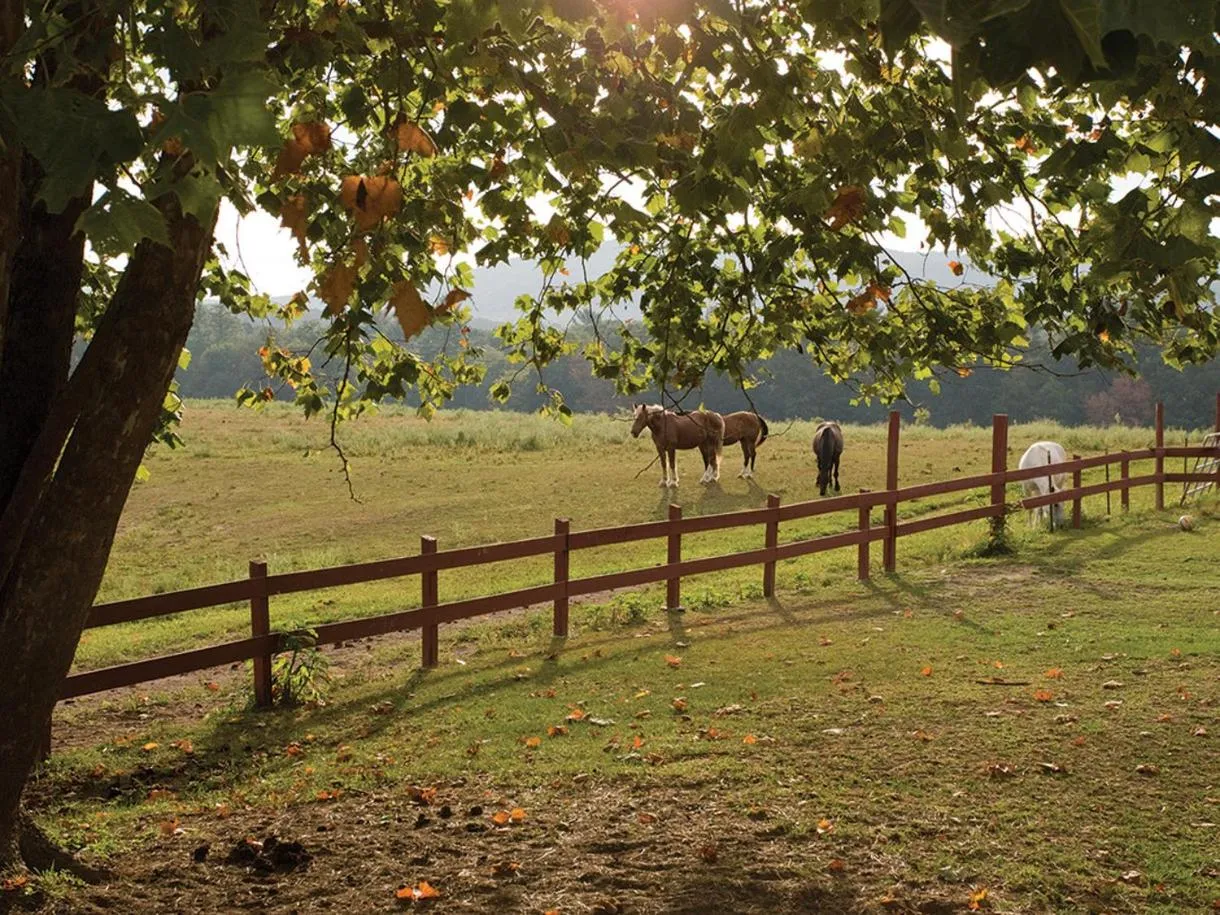 Other in Club Wyndham Resort at Fairfield Glade