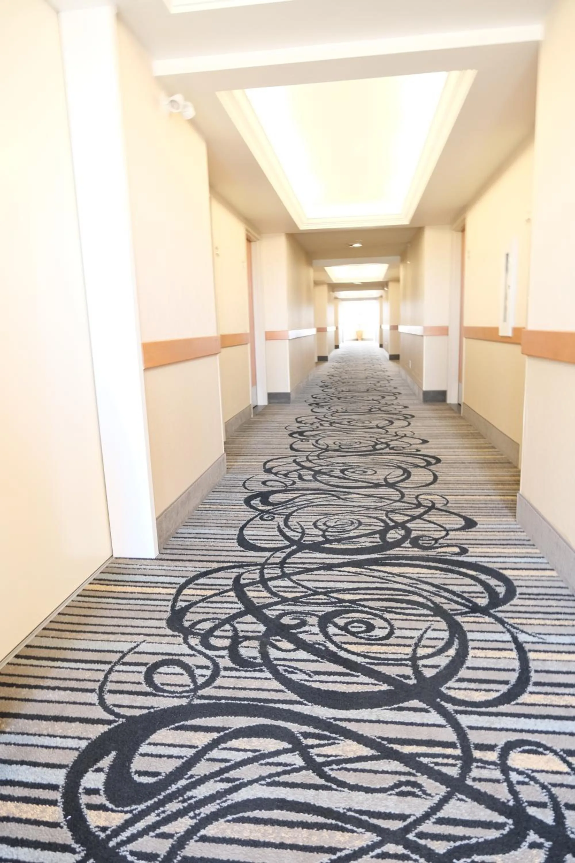 Area and facilities in Rosslyn Inn & Suites