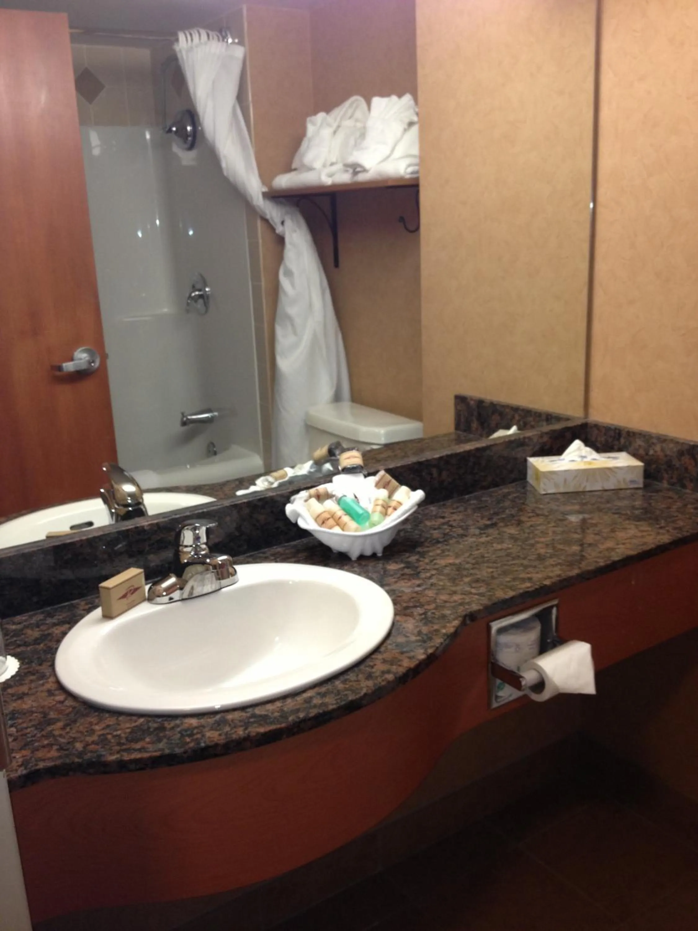 Bathroom in Rosslyn Inn & Suites