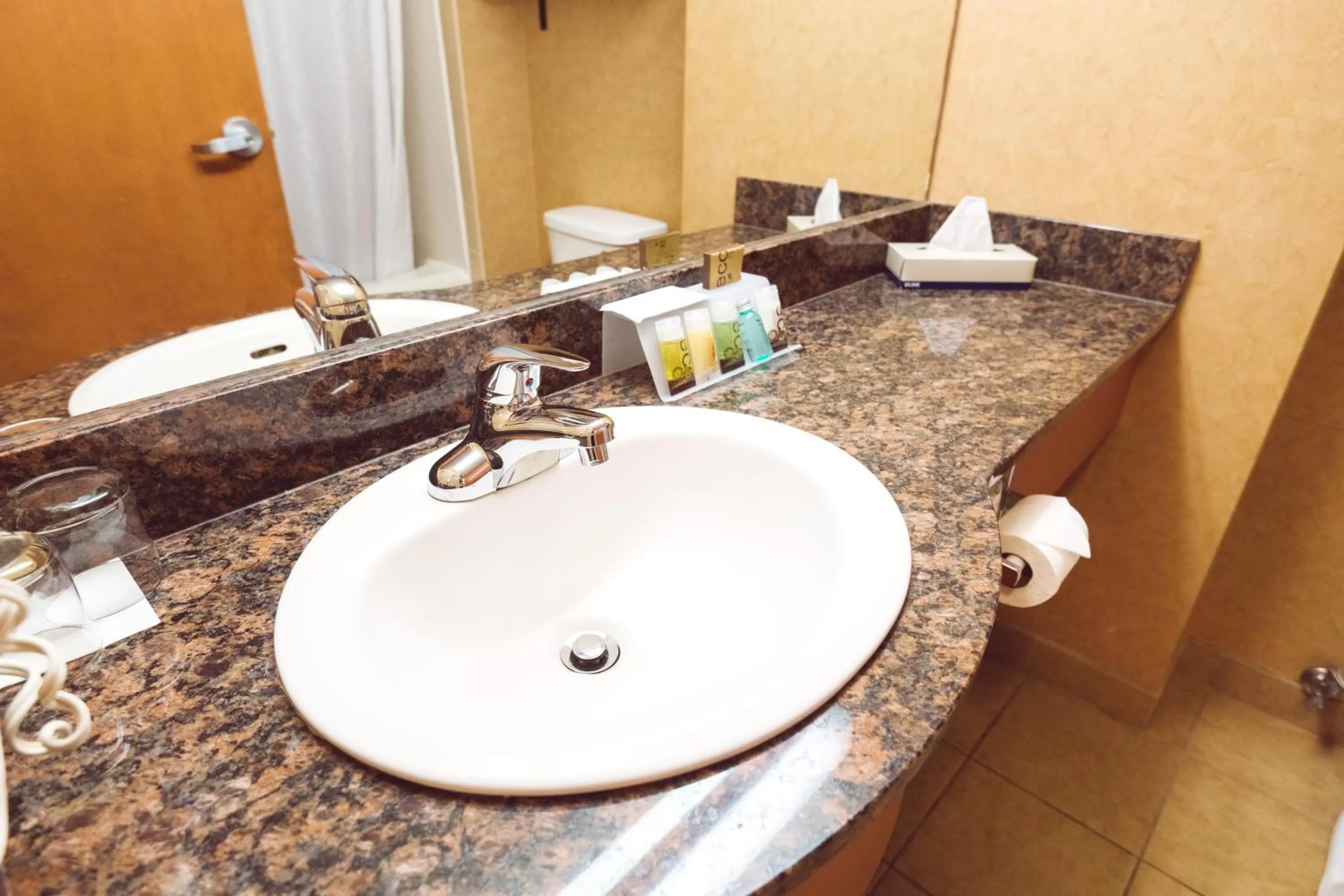 Bathroom in Rosslyn Inn & Suites