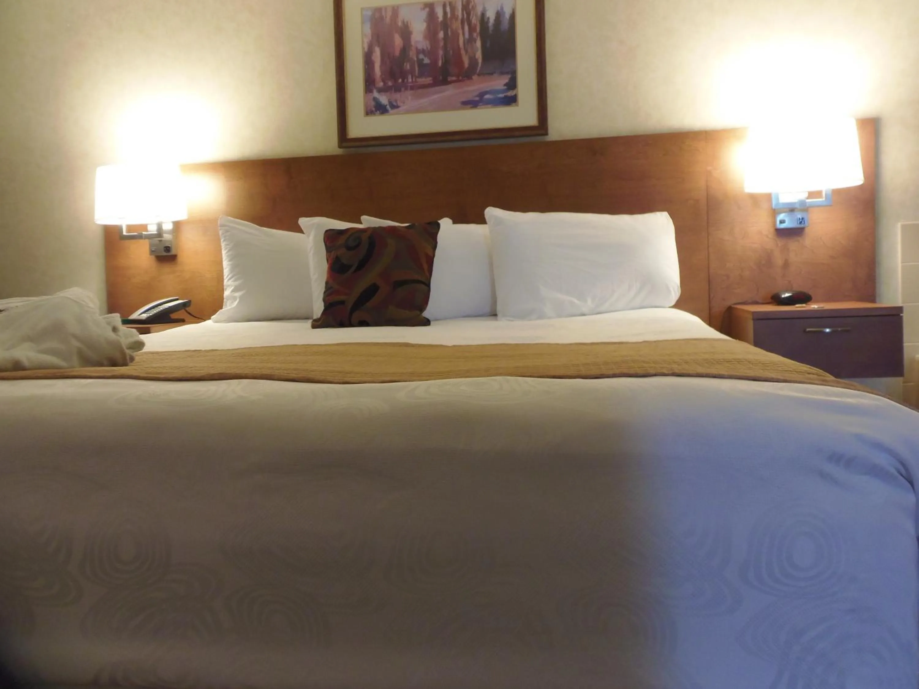 Bed in Rosslyn Inn & Suites