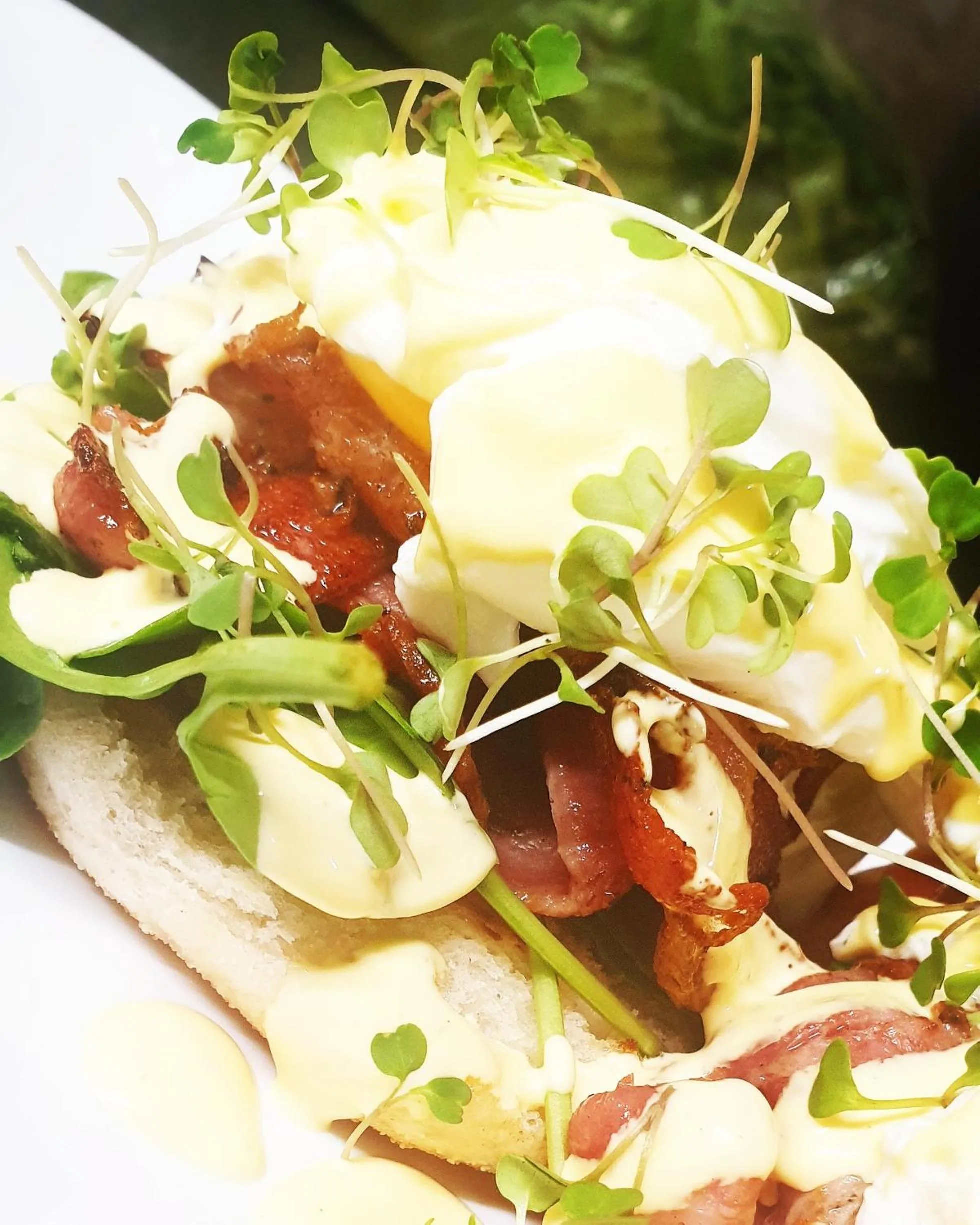 Food in Hanmer Springs Retreat