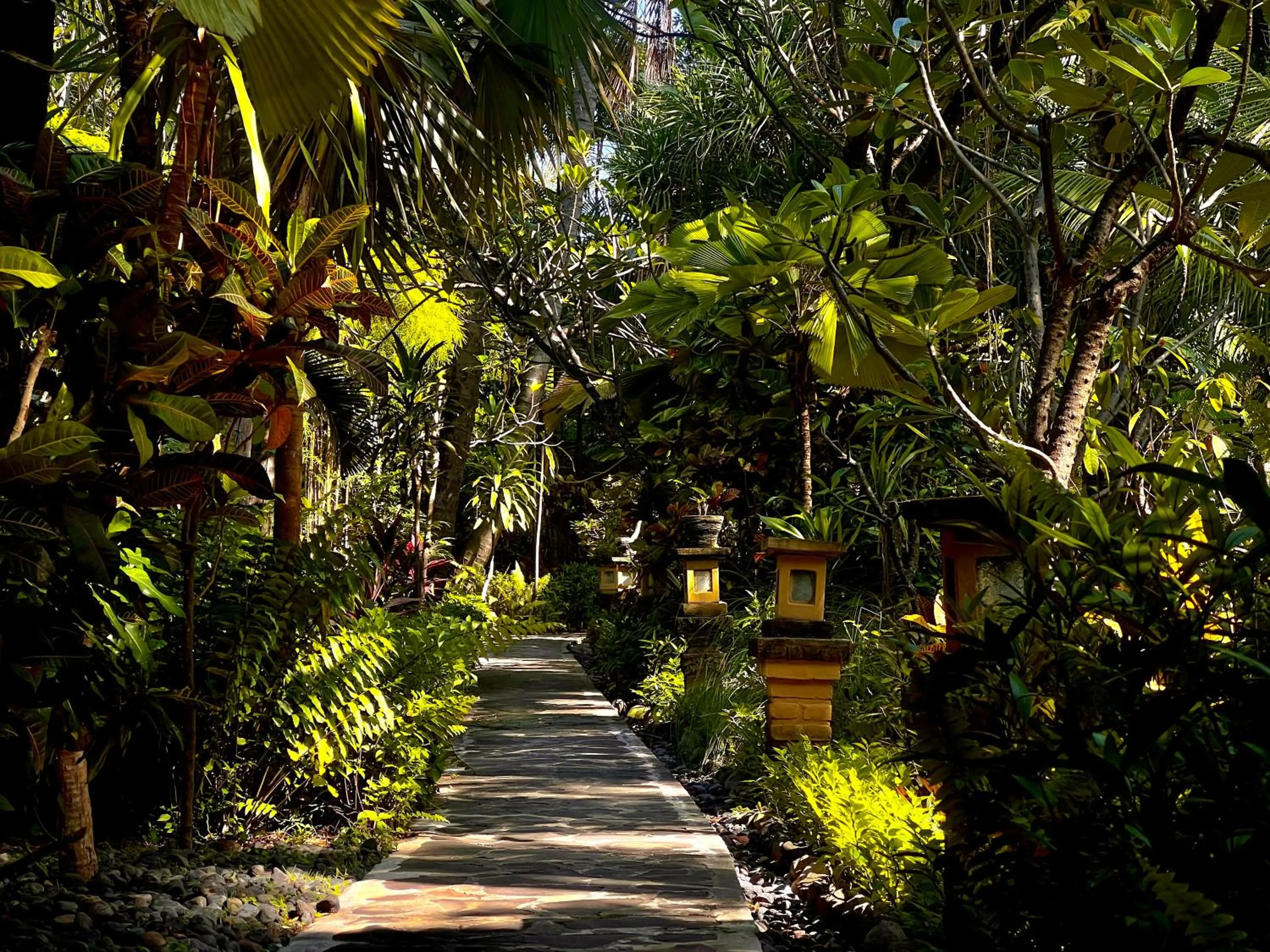 Garden in Villa Boreh Beach Resort and Spa