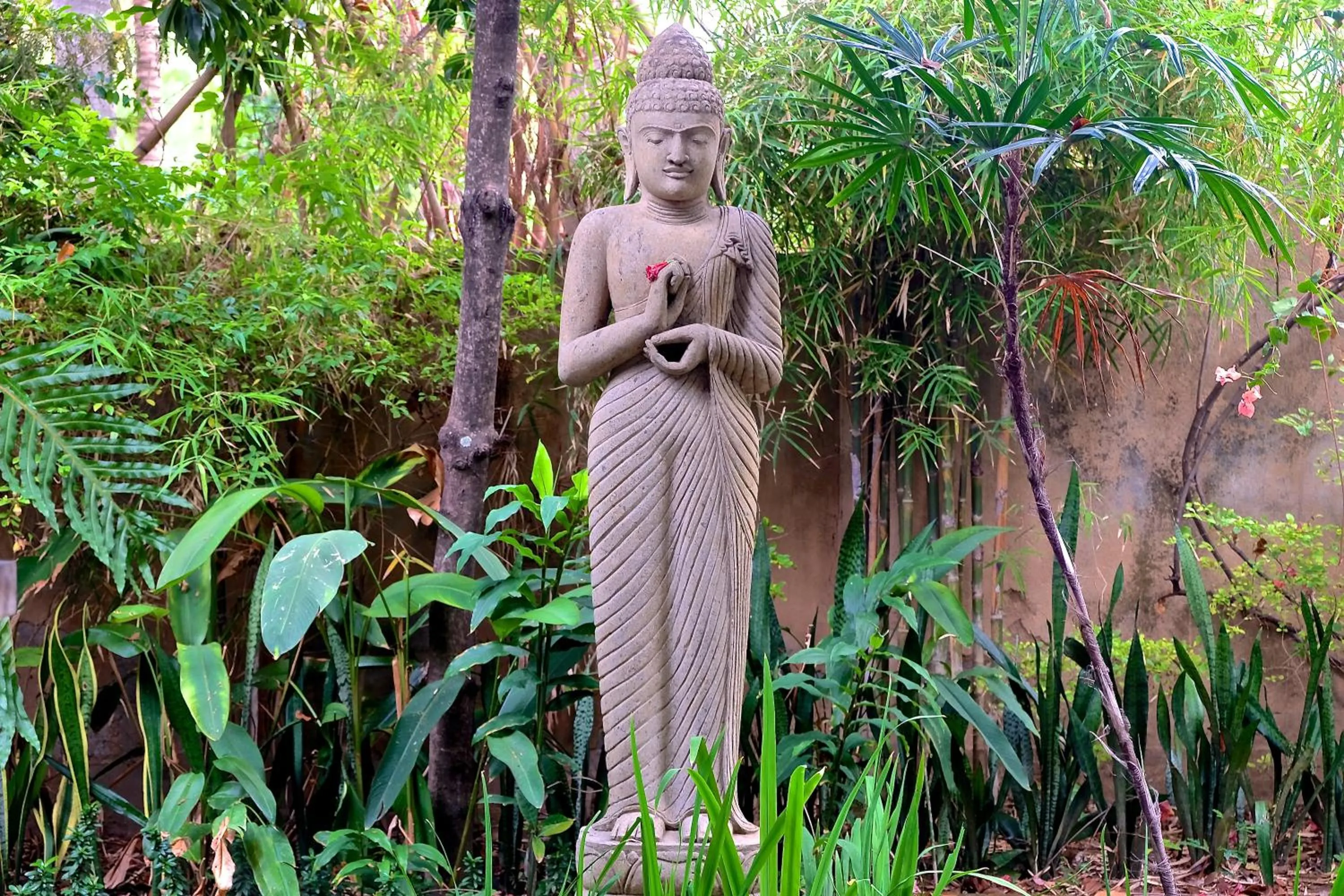 Garden in Villa Boreh Beach Resort and Spa