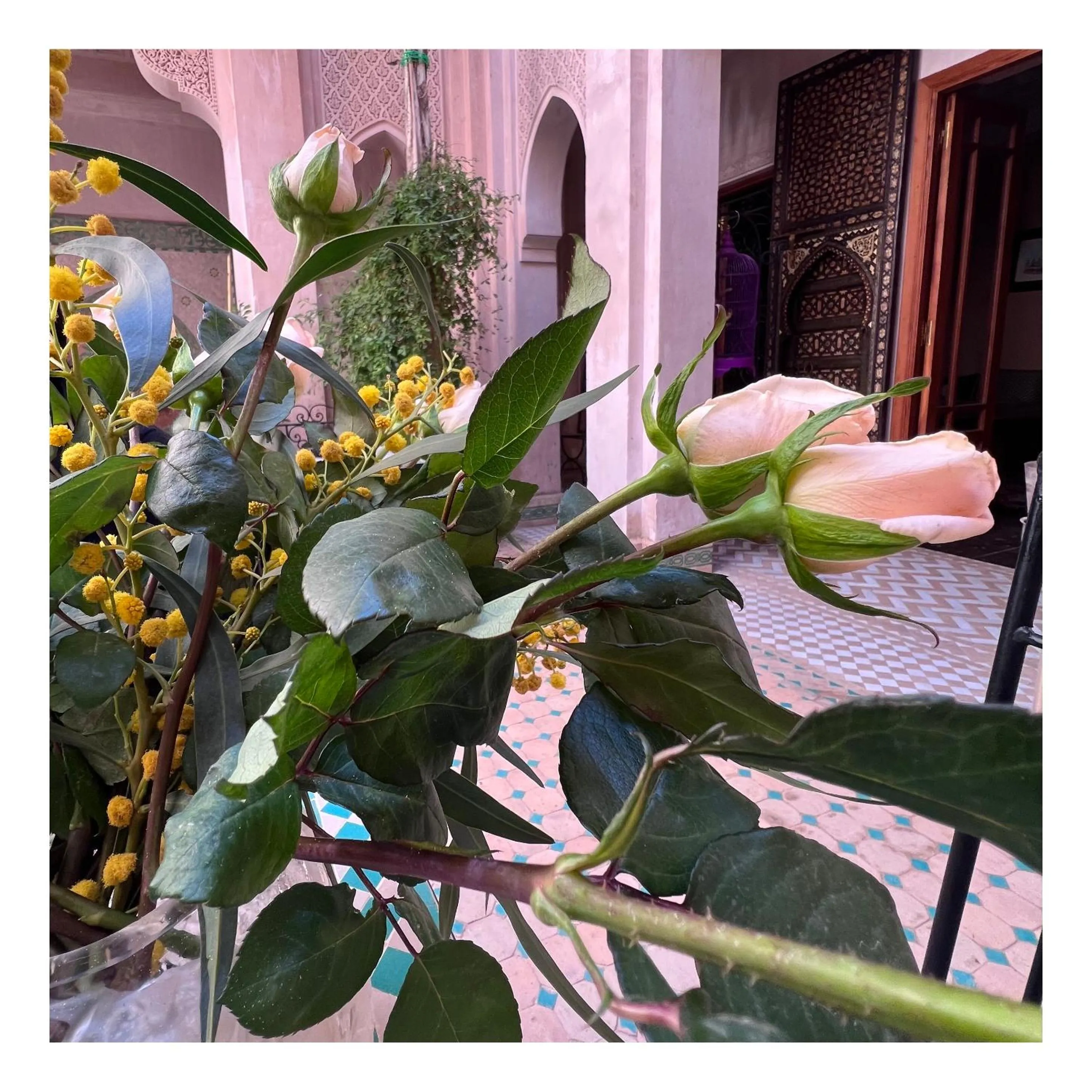 Palais Nejma oriental