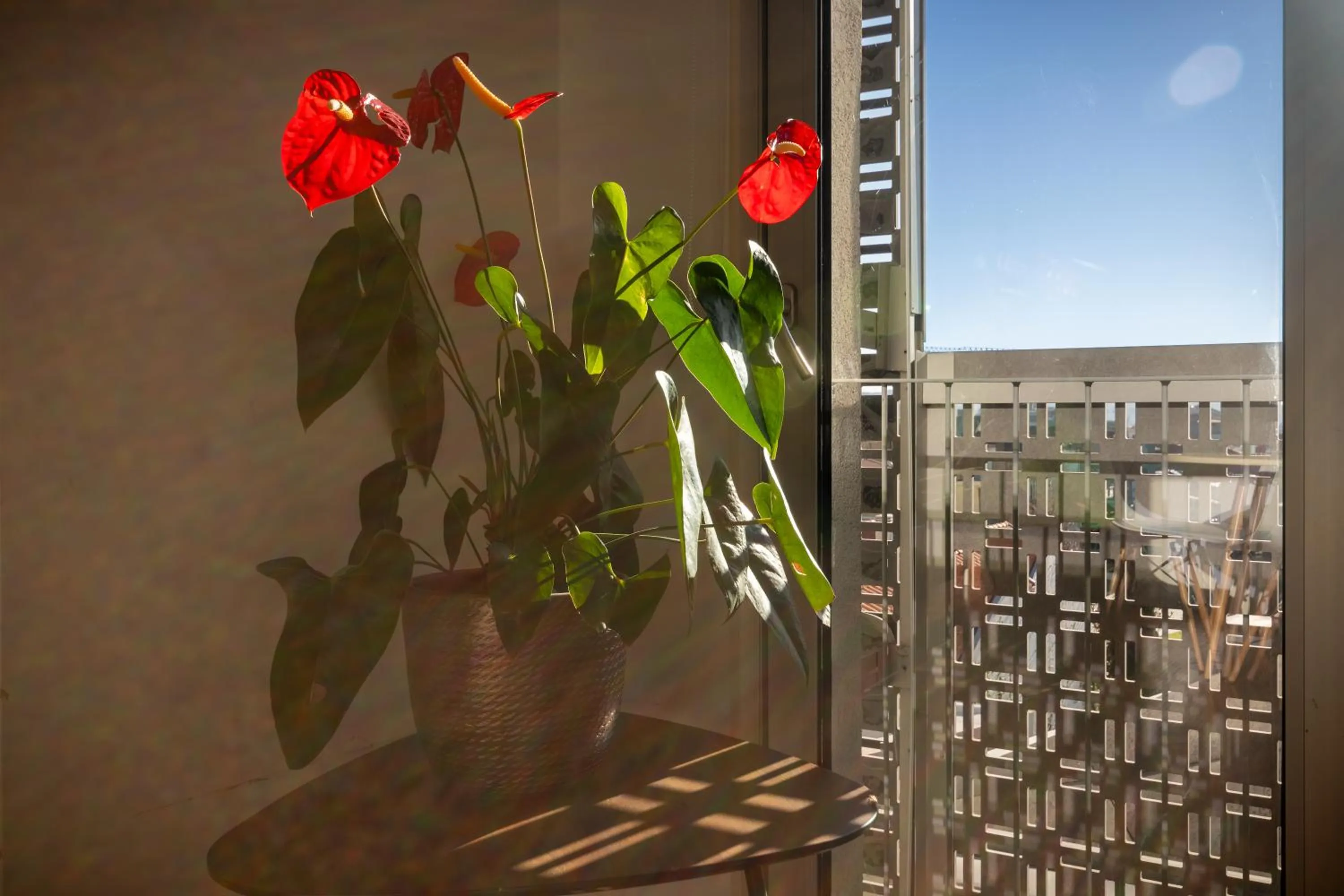 View (from property/room) in PortoSoul Trindade