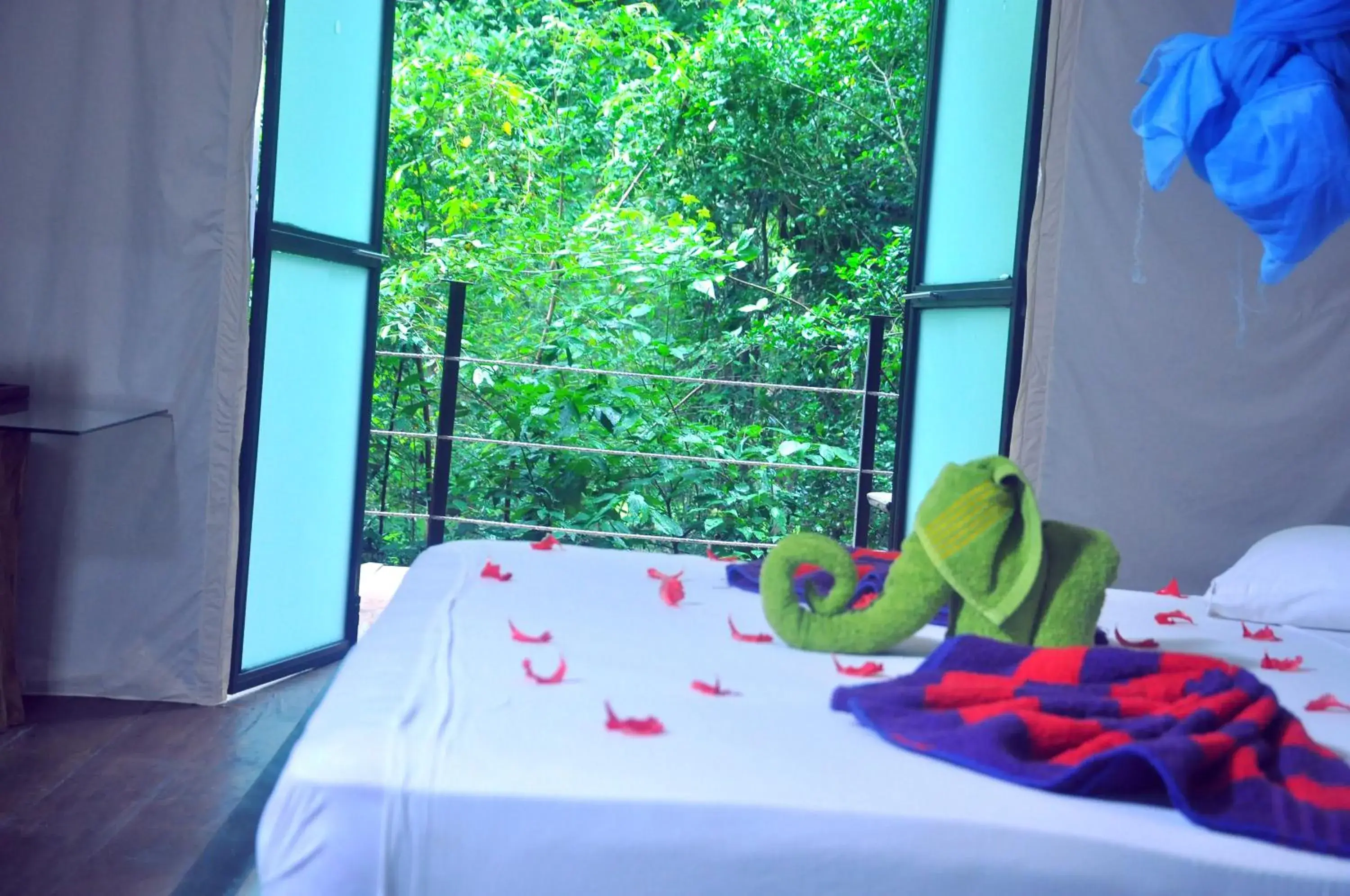 Tent in Kottawatta Village Tent in Kottawatta Village