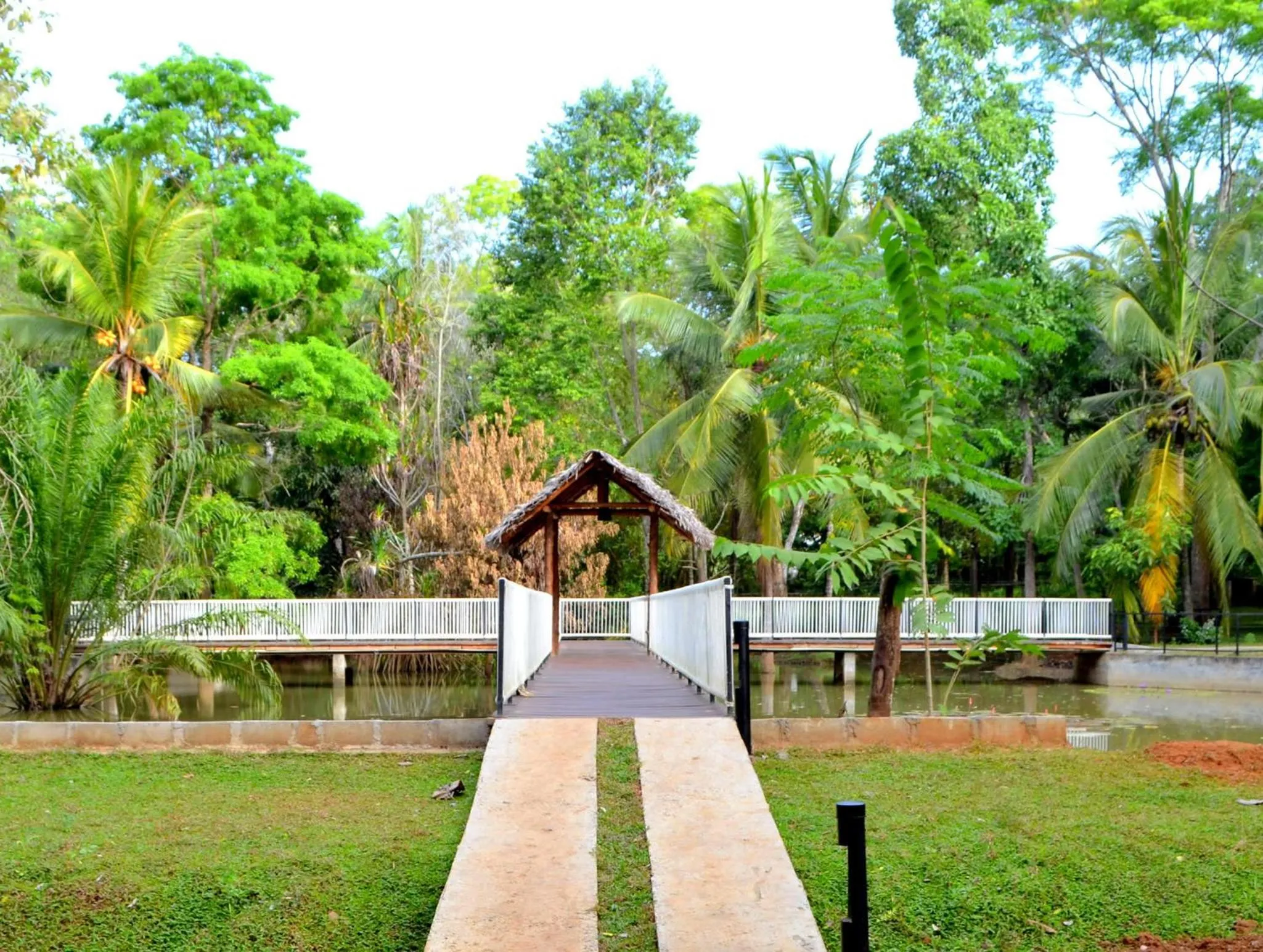 Garden in Kottawatta Village
