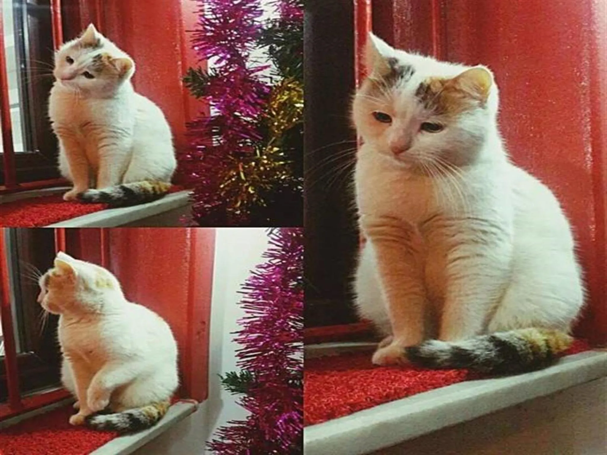 Facade/entrance in Ortakoy Aysem Sultan Hotel