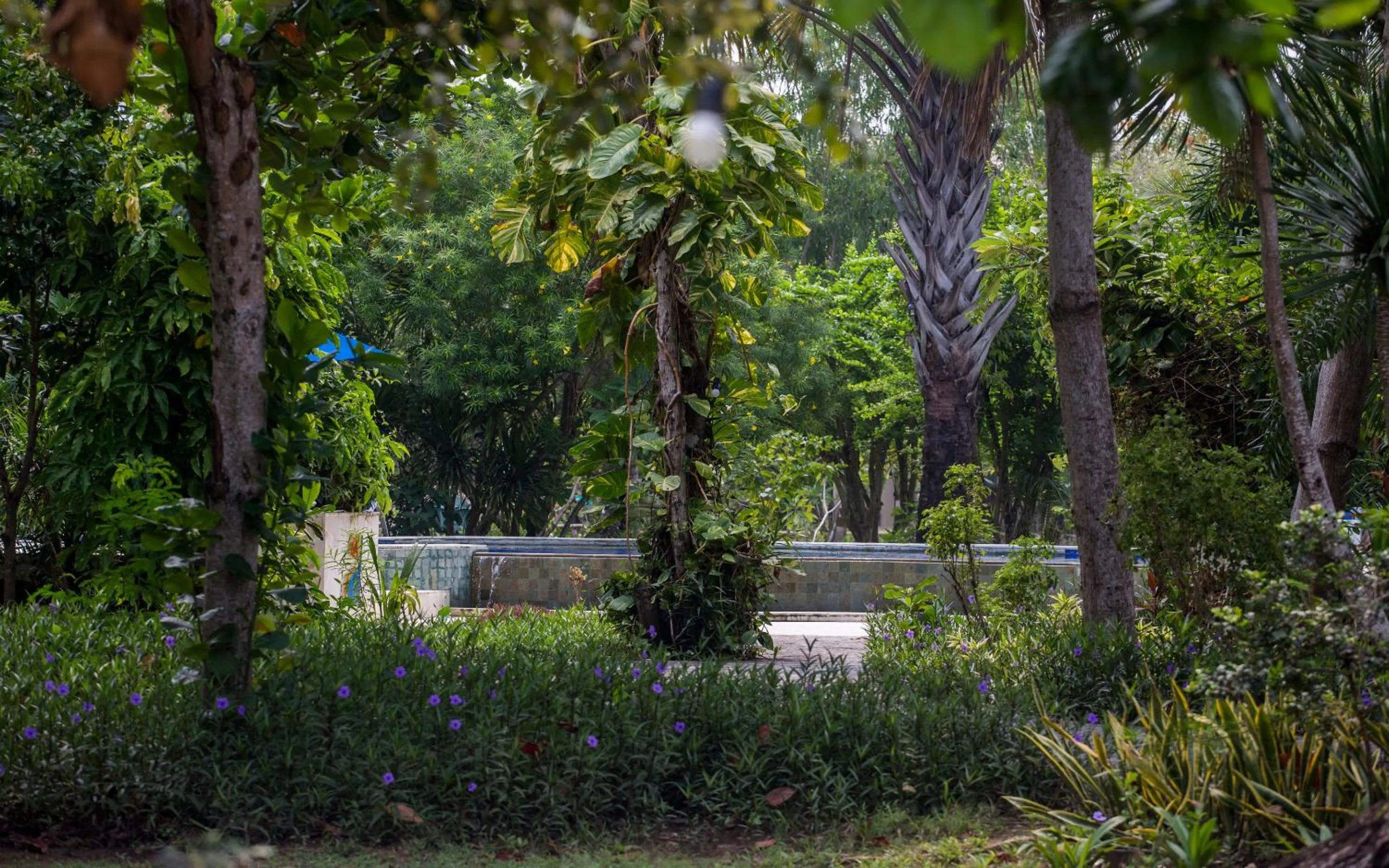 Garden in Puri Sari Beach Hotel