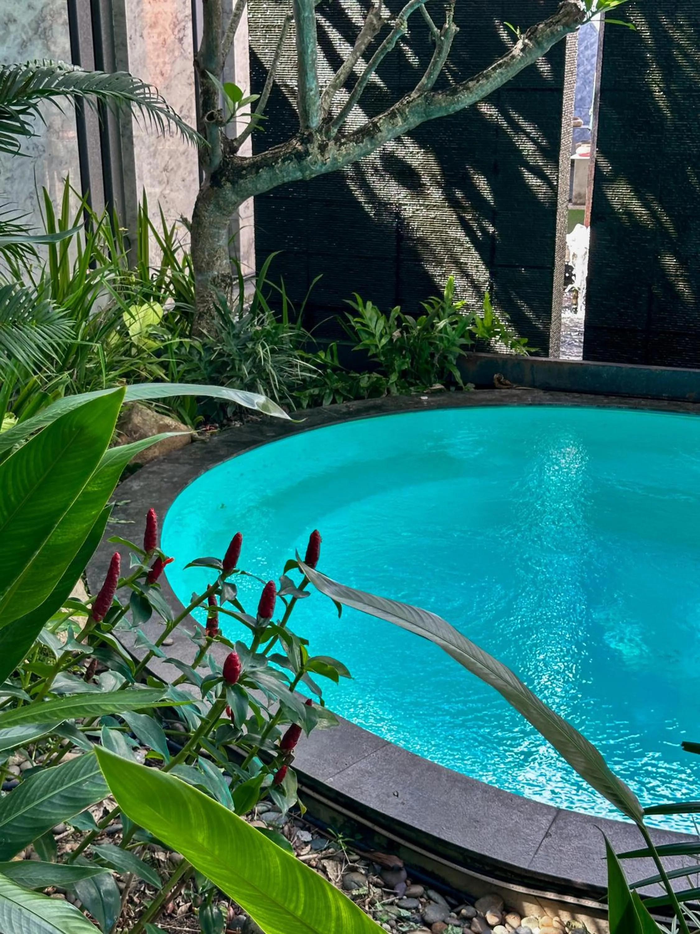 Swimming pool in NAI YA Hotel -SHA Extra Plus