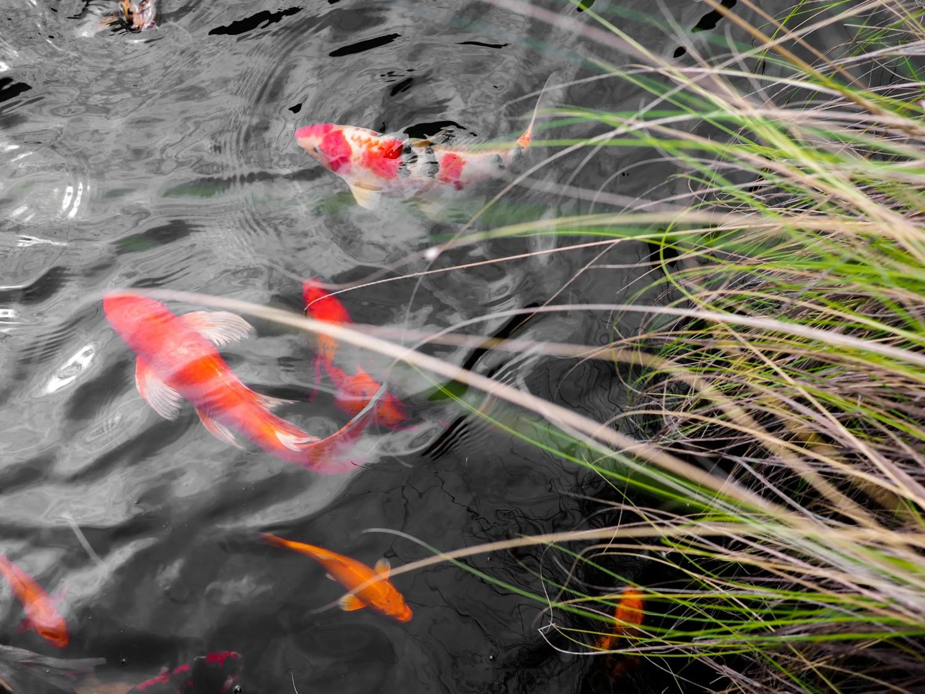 Natural landscape in NAI YA Hotel -SHA Extra Plus