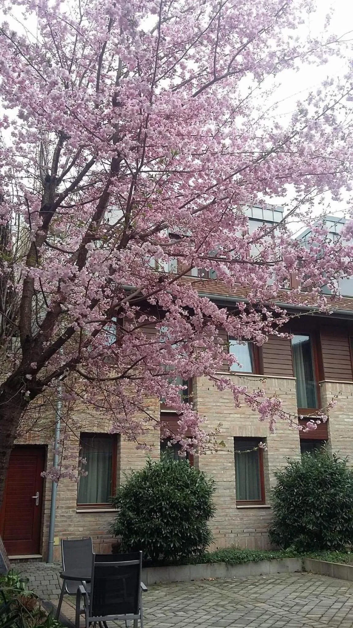 Garden in Bazilika alatt Panzió