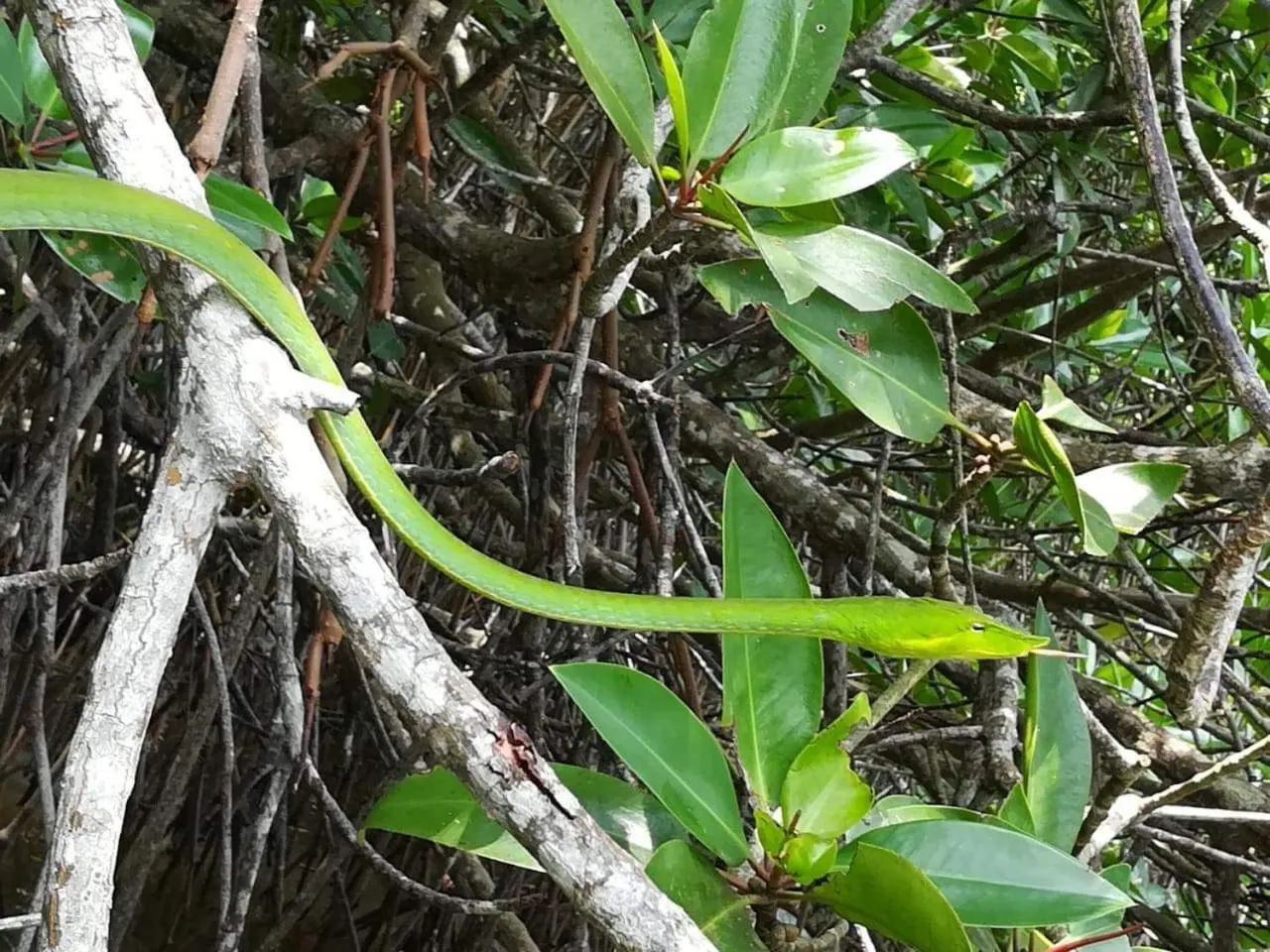 Natural landscape in Vivid Lanka