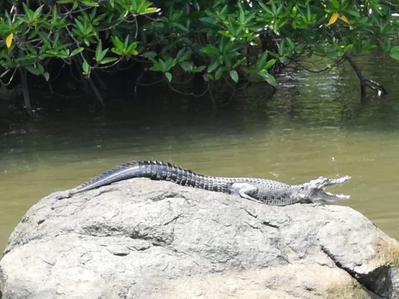Natural landscape in Vivid Lanka