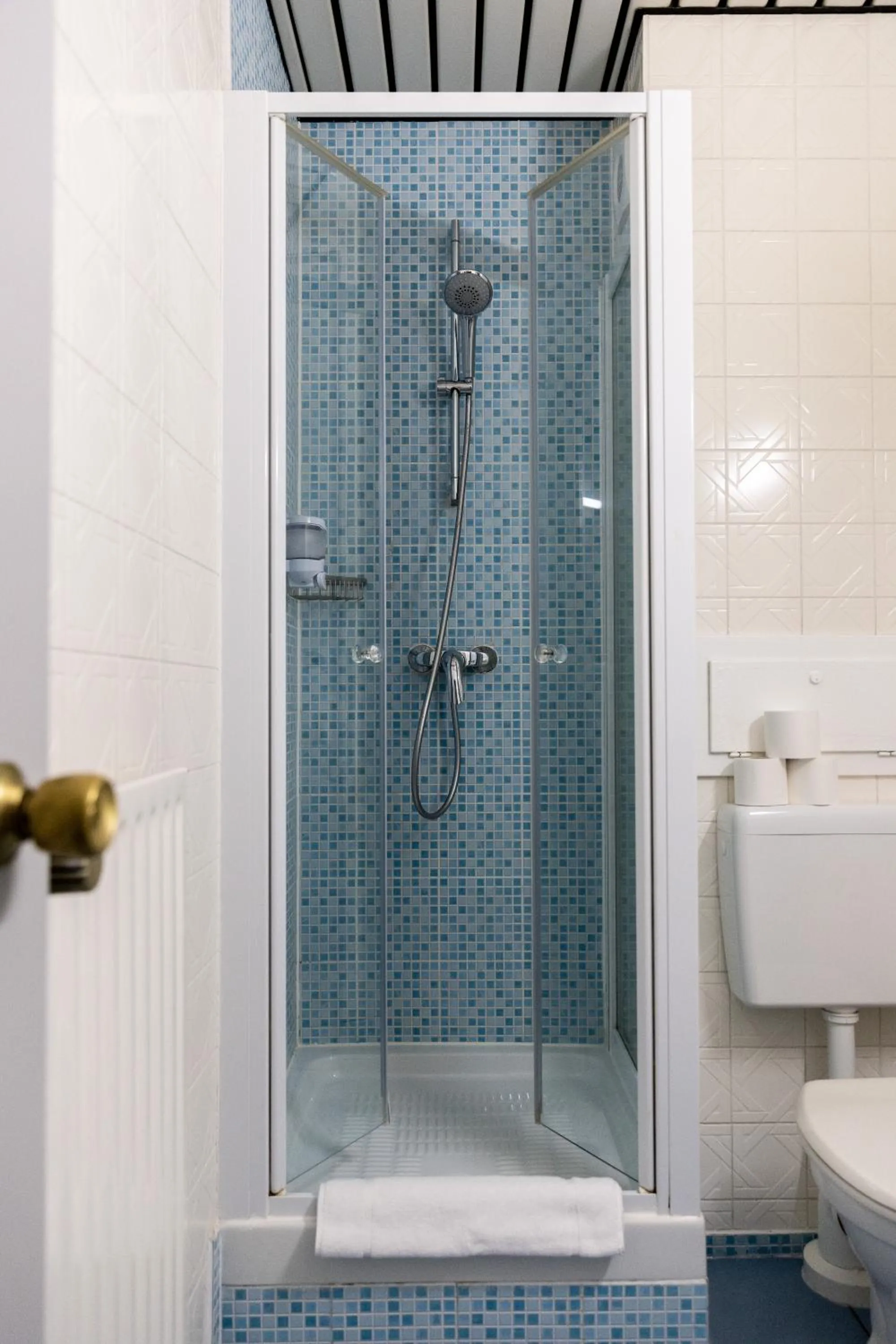 Shower in Hotel Bristol