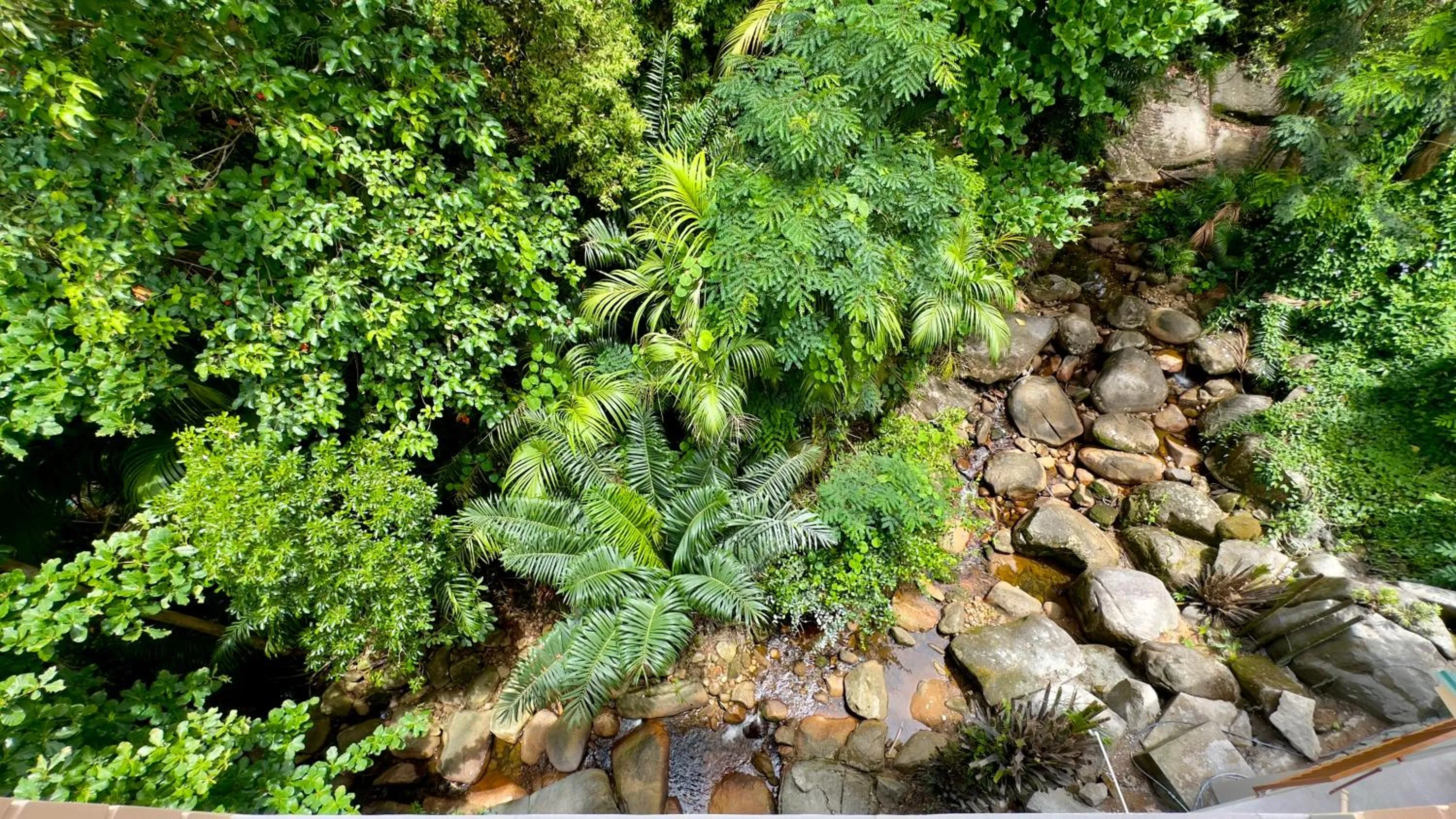 River view in The Palm Seychelles