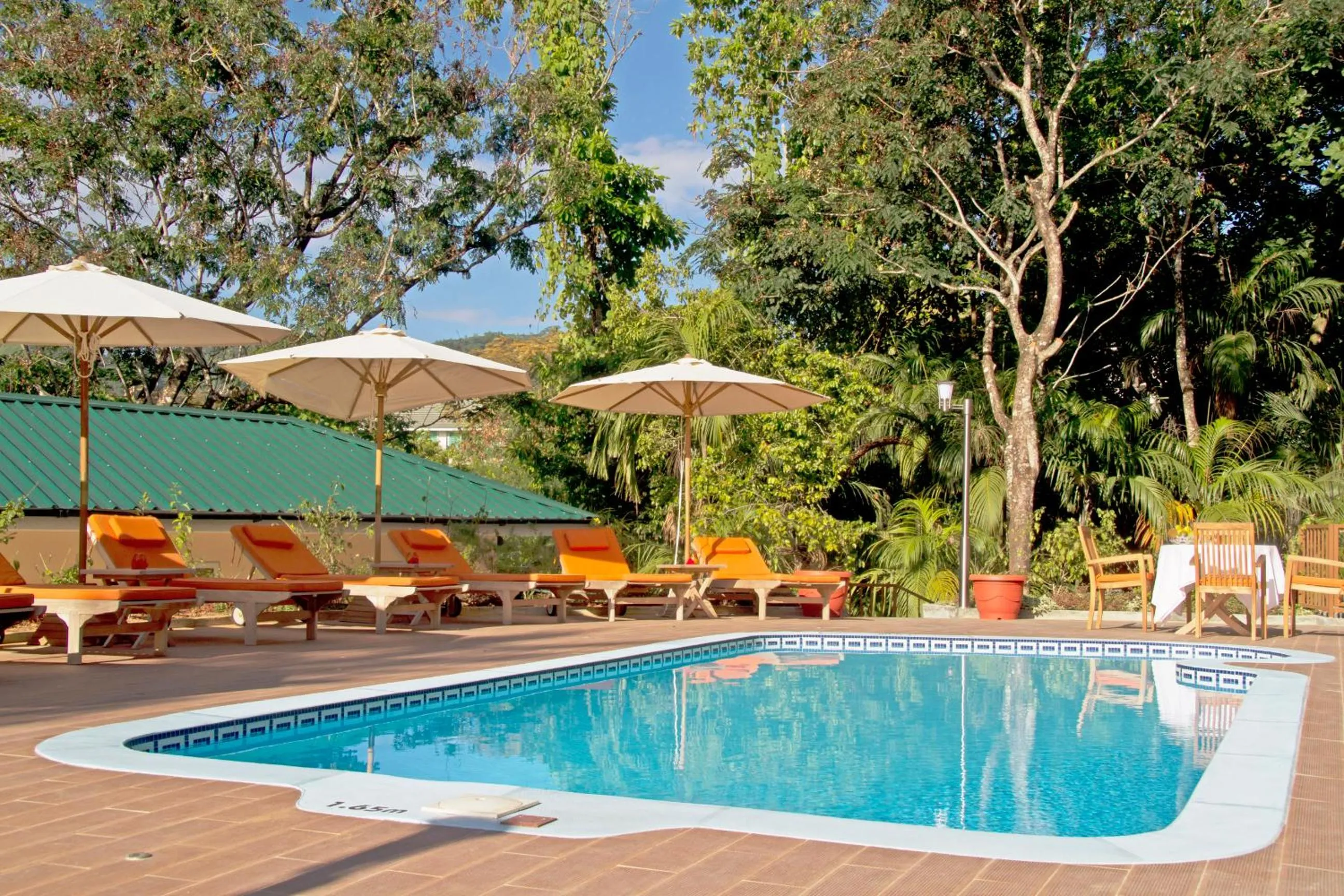 Pool view in The Palm Seychelles