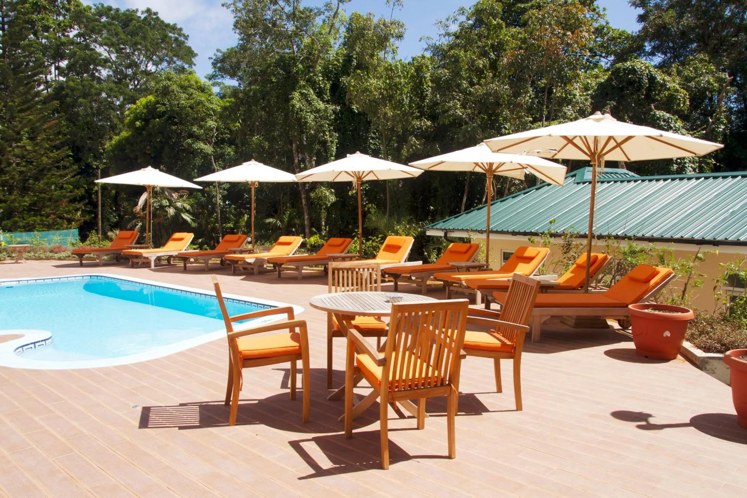Swimming pool in The Palm Seychelles