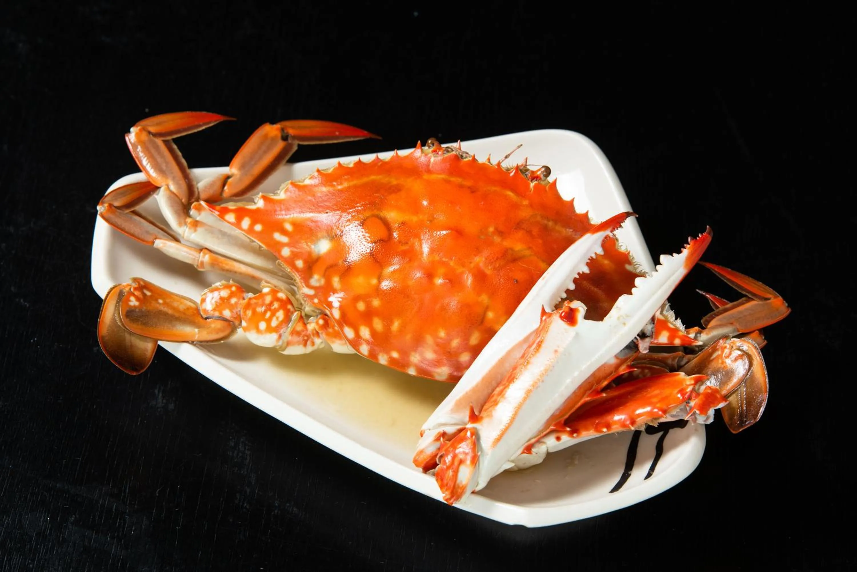 Dinner in Unzen Sky Hotel