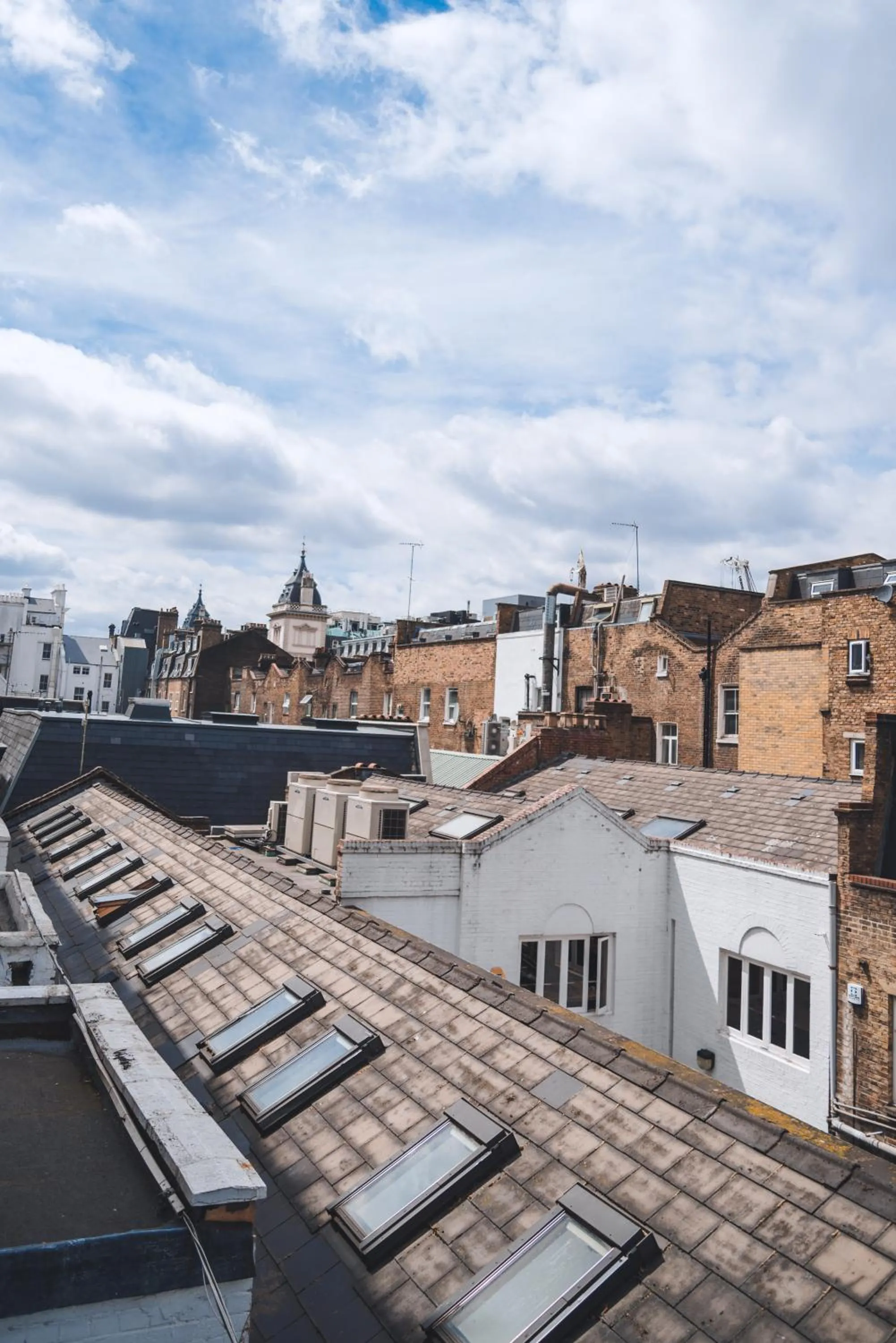 View (from property/room) in Dolphin Inn - The Lodge