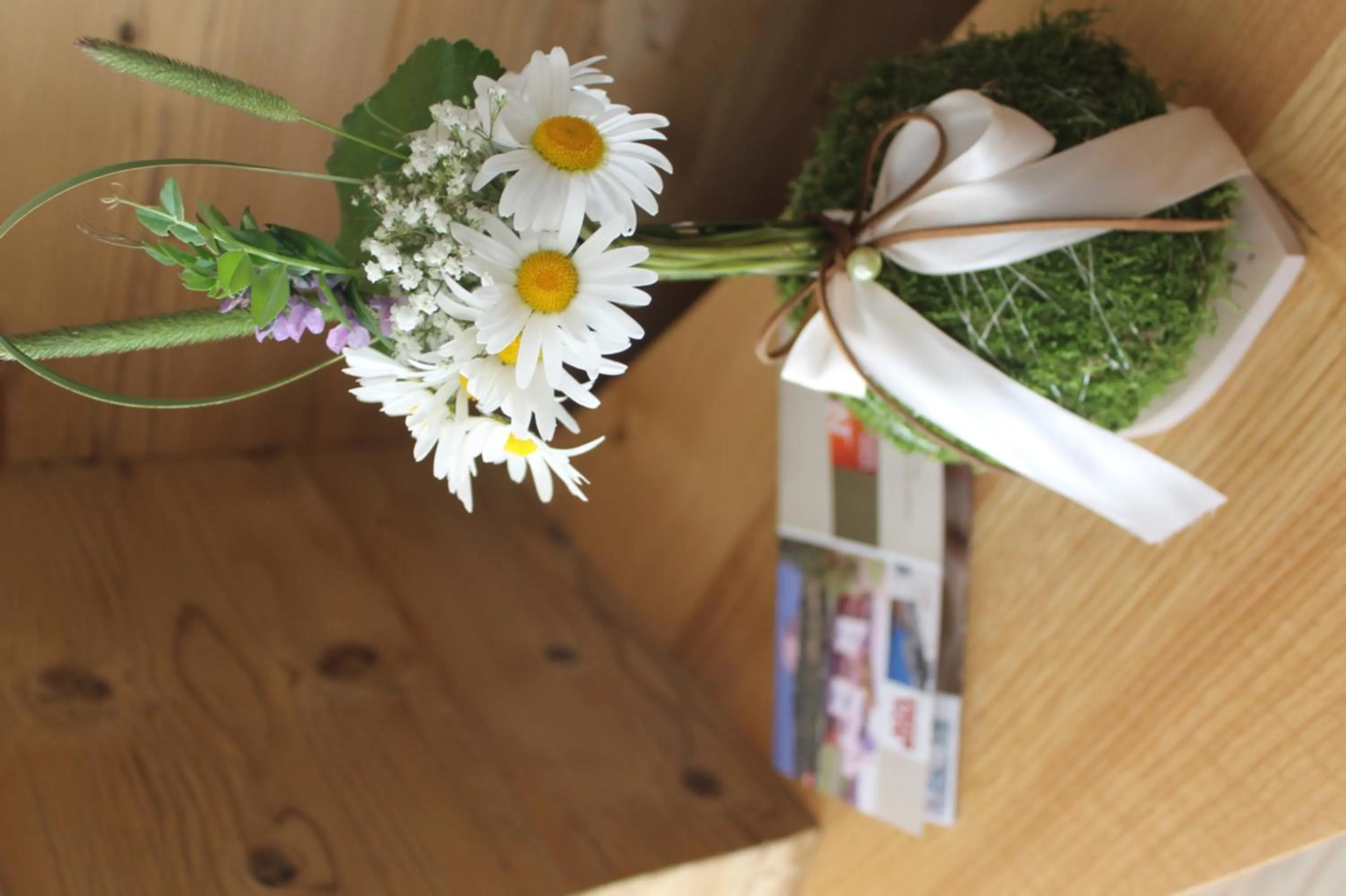 Other in Ciasa Sunara