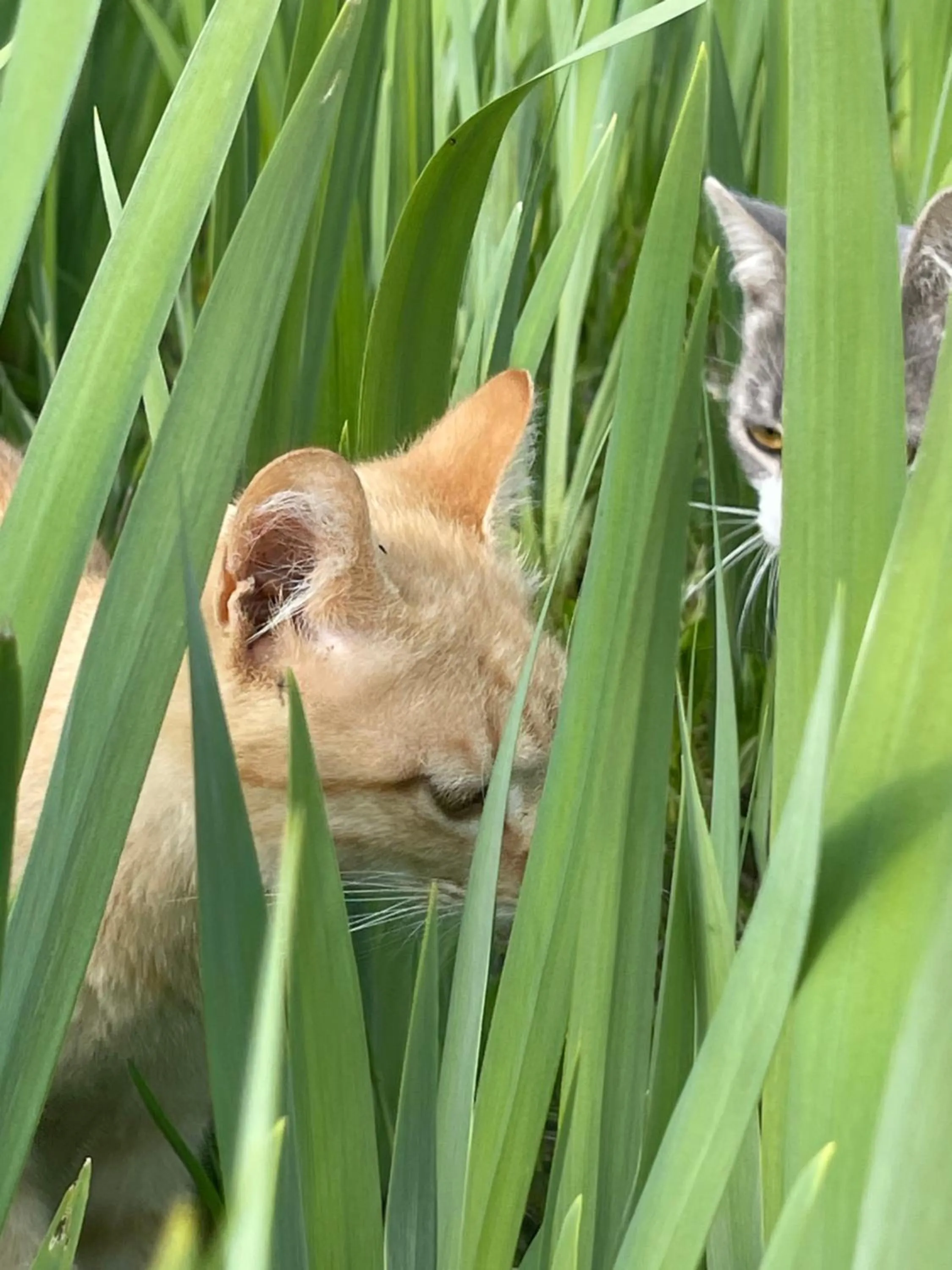 La Finestra sul Fiume